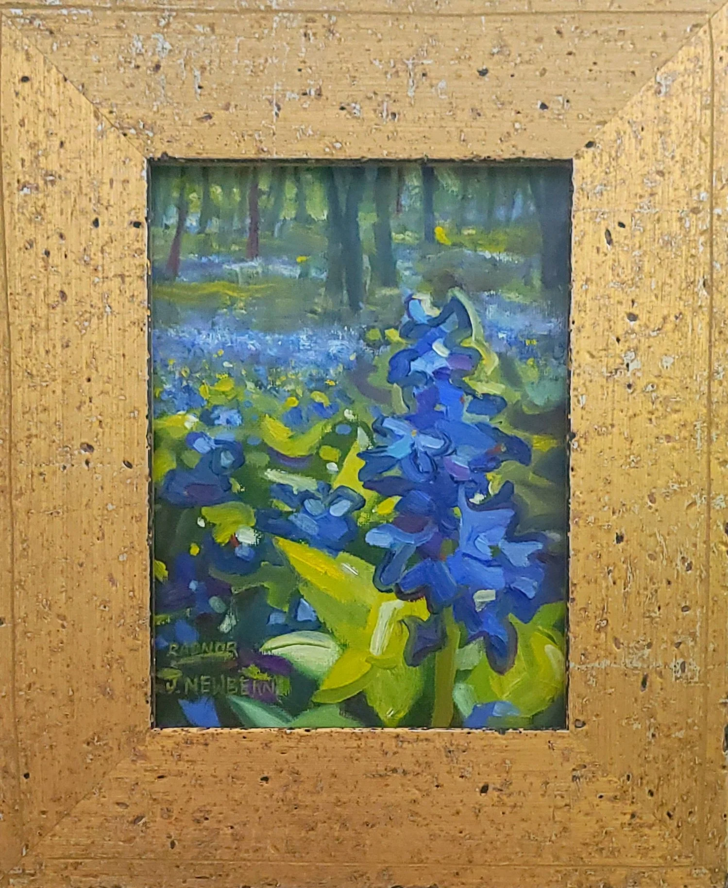 Larkspur Meadow
