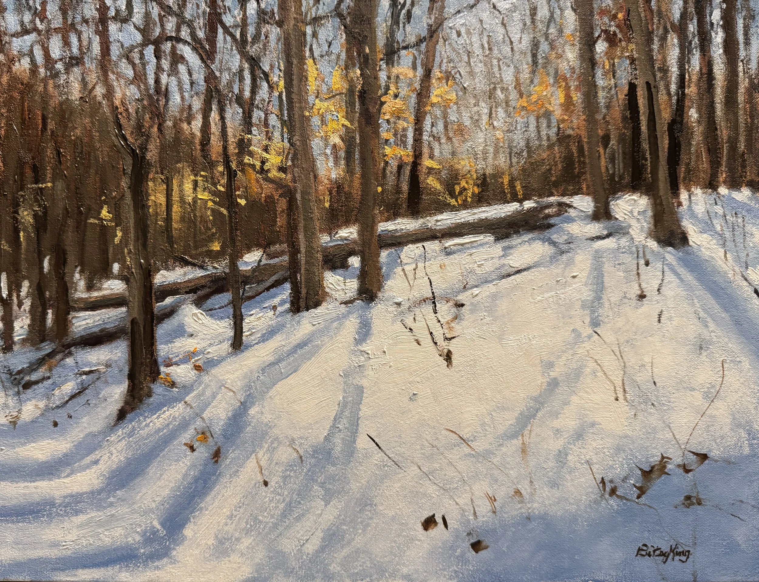 Winter in the Park