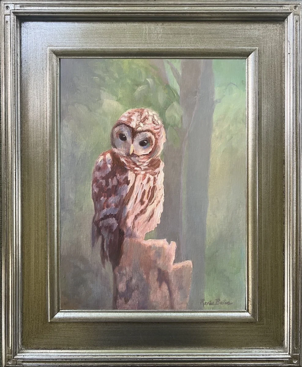 Prospecting Owl