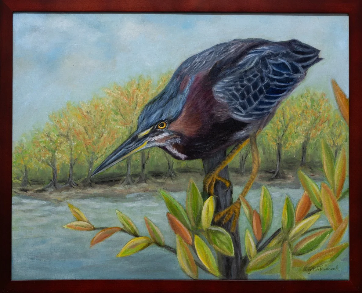 Green Heron