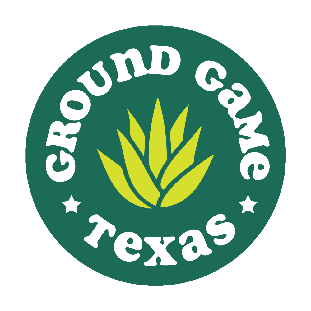 Turn Up Texas! A Benefit Dance Party for Ground Game Texas