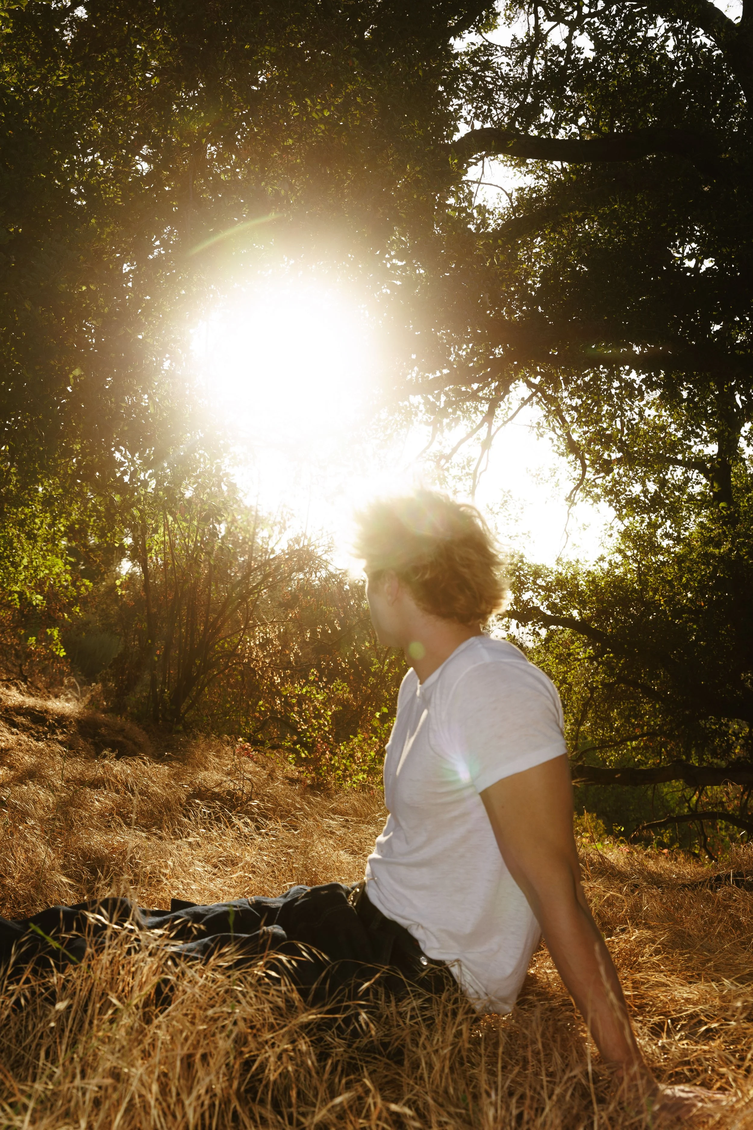 WHOLF’s Postcards From The Spaces Between Songs