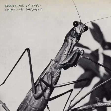 Courtney Barnett addresses the complexity of change one guitar solo at a time on her fourth studio album, Creature of Habit