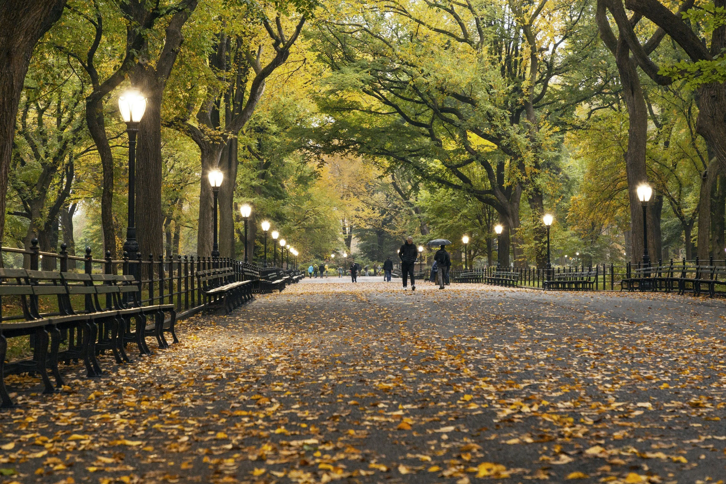 A park pathway lined with benches and vintage street lamps, covered in fallen autumn leaves. Tall trees with yellow and green leaves arch over the path, with some people walking, one holding an umbrella.