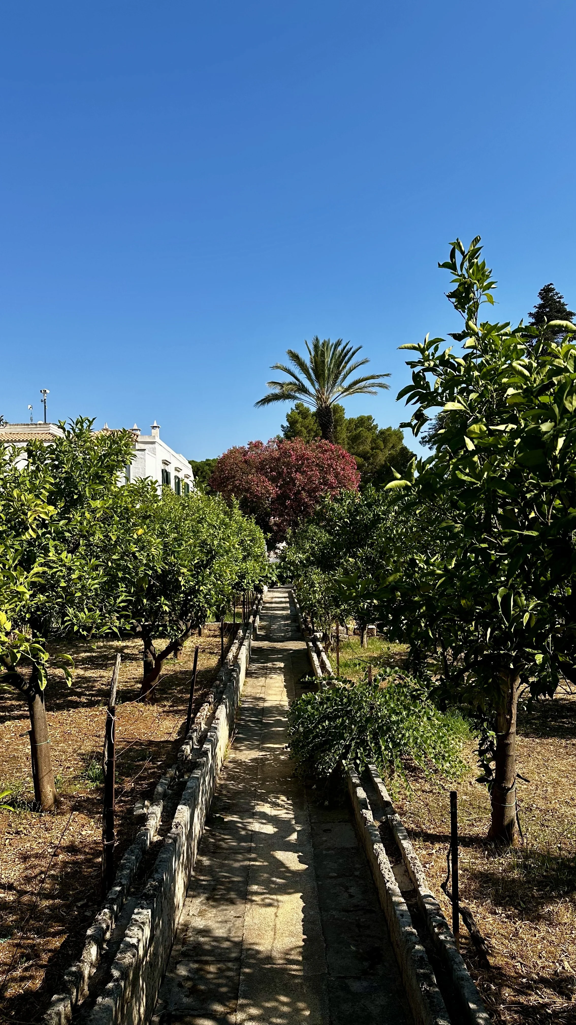 Pretty in Puglia Part I: My Masseria Moment