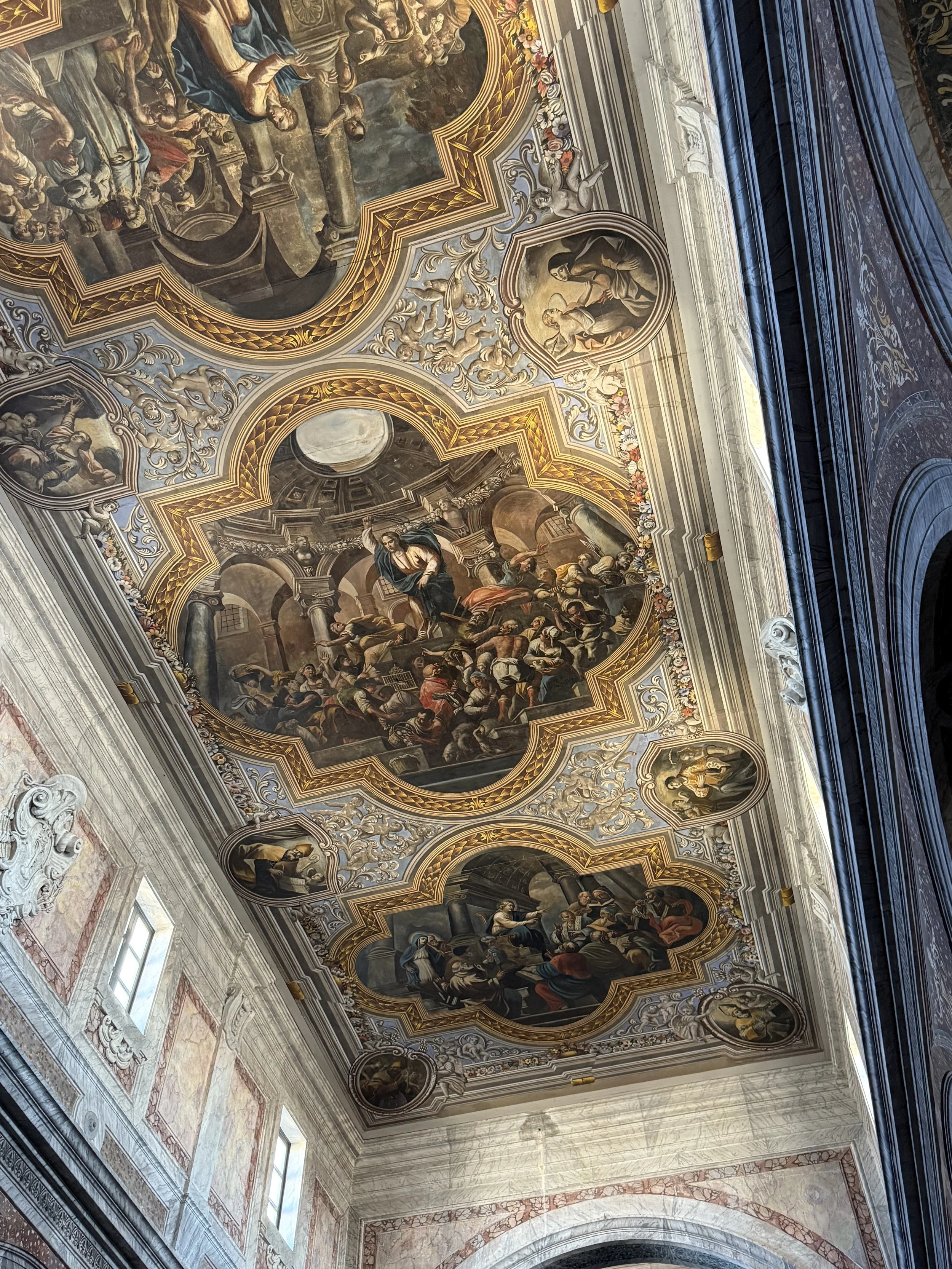 IMG_8782.jpeg