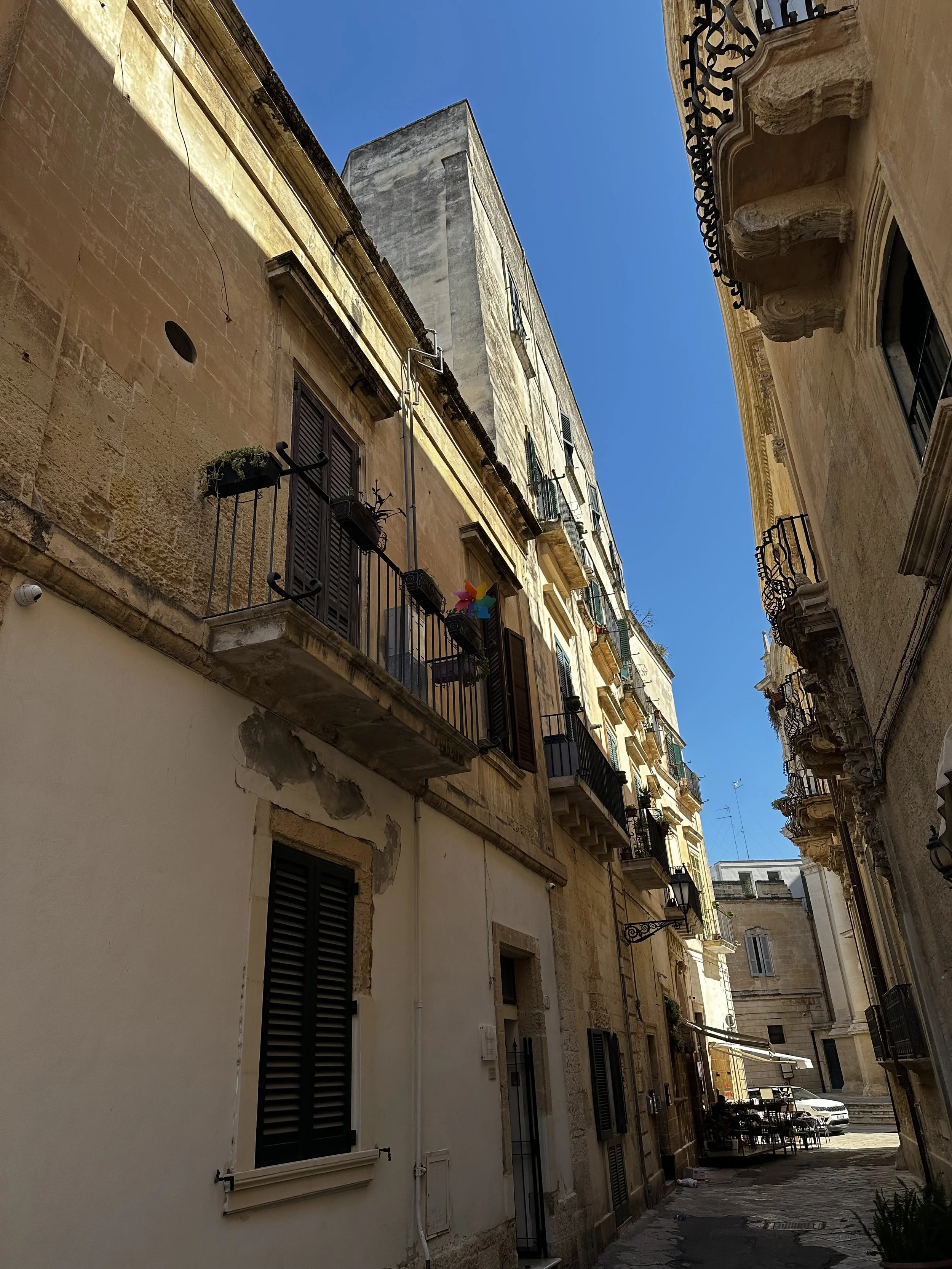 IMG_3782.jpeg