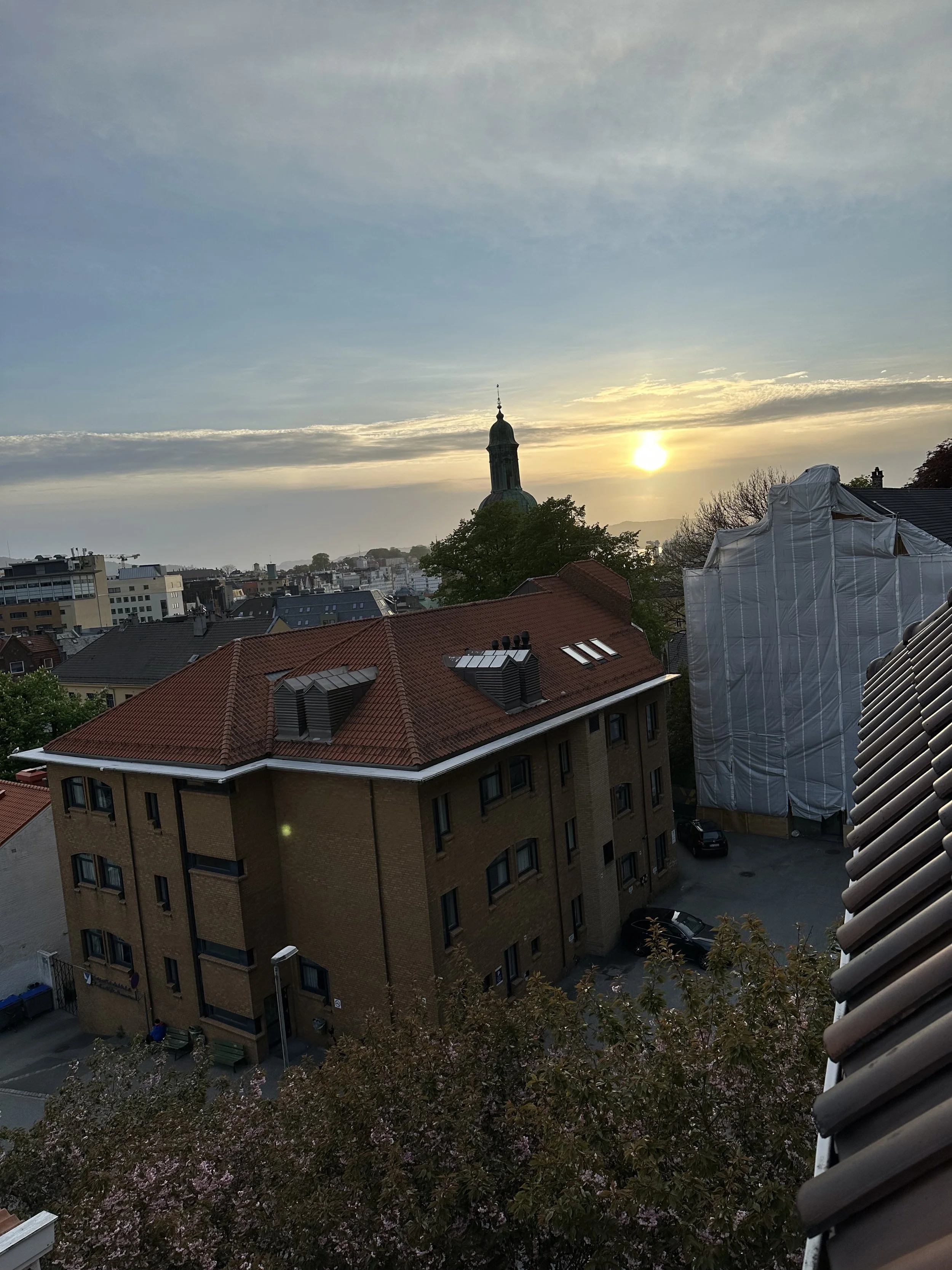 IMG_3136.jpeg