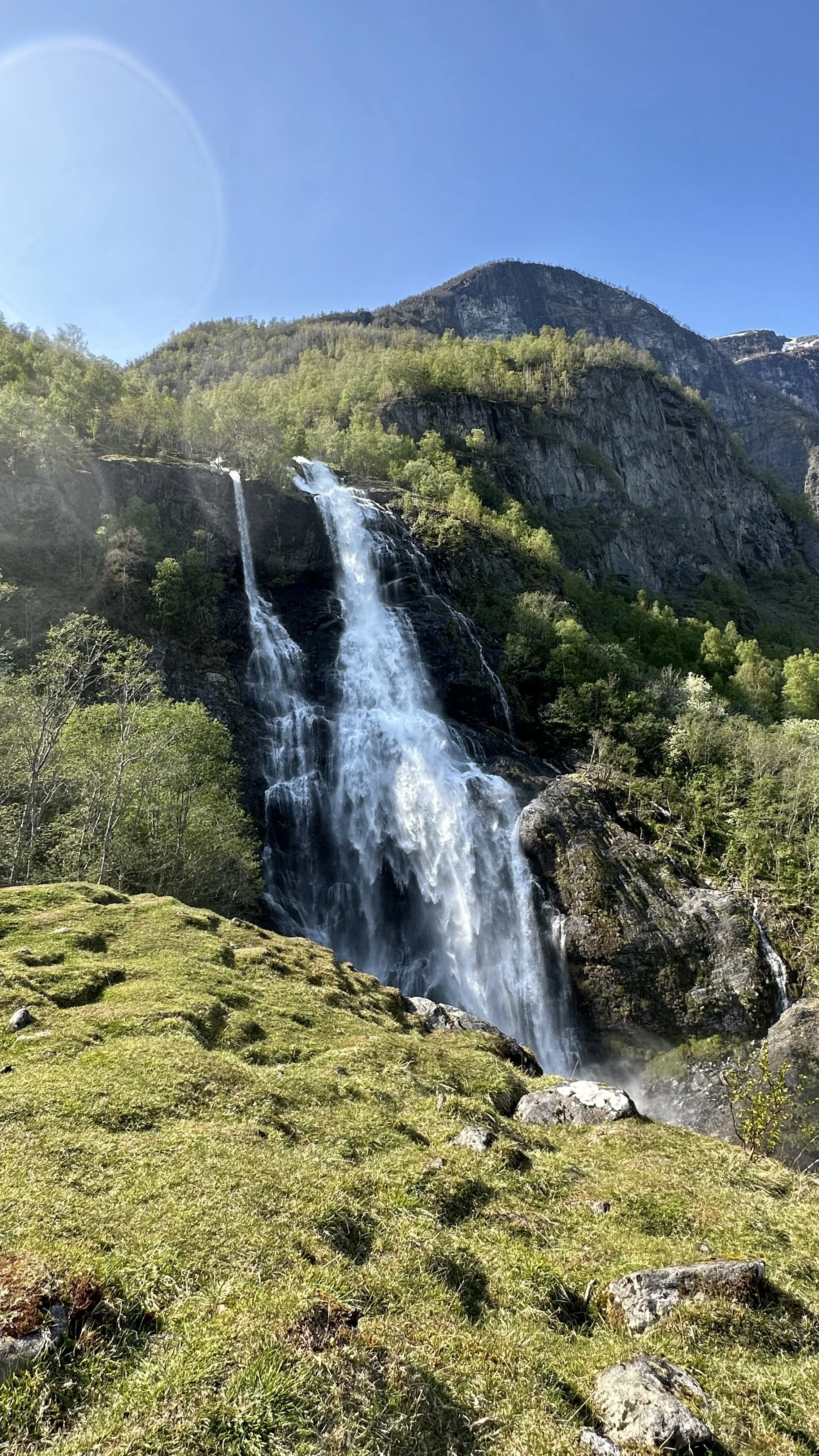 IMG_2955.jpeg