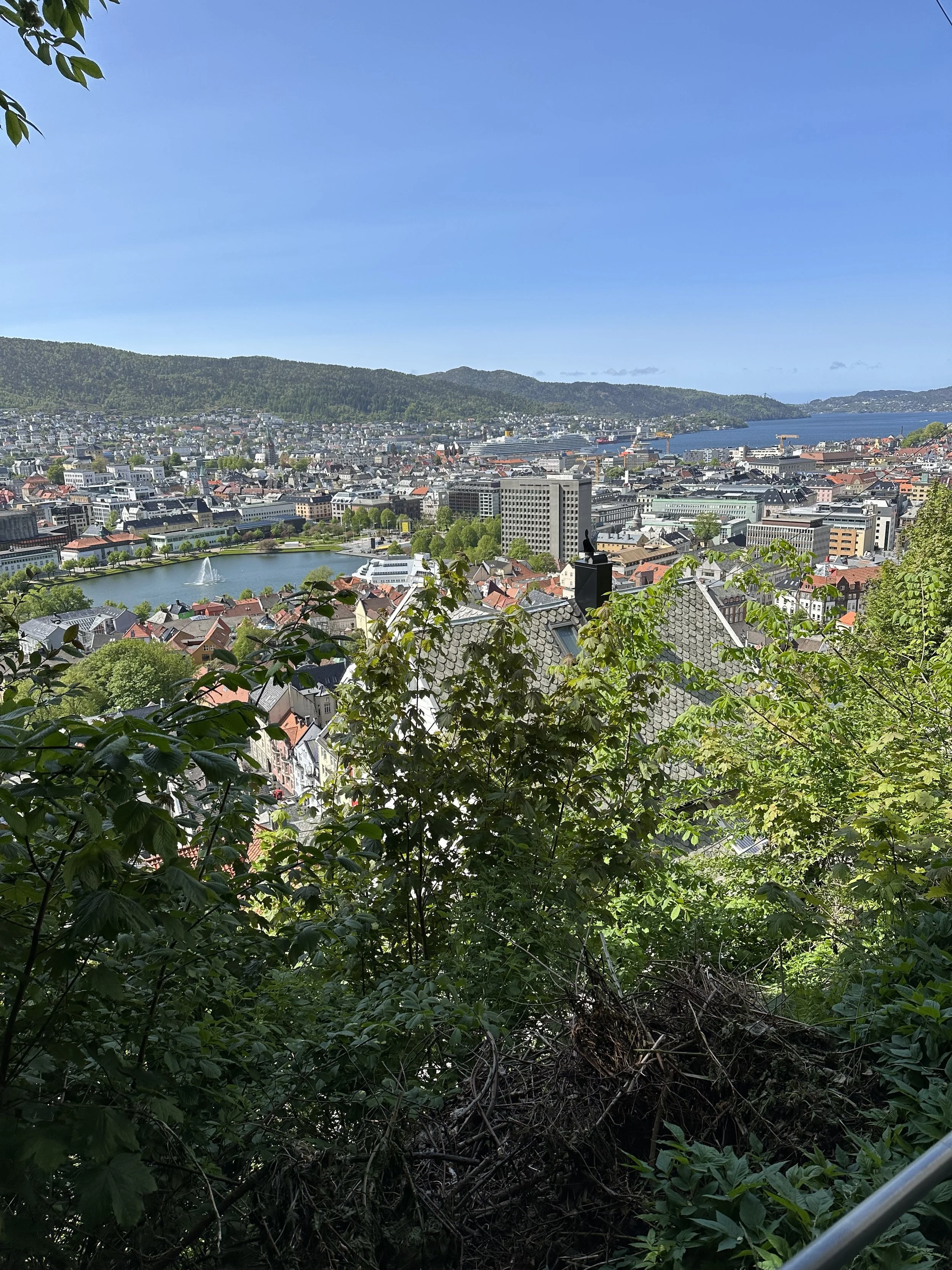 IMG_3094.jpeg