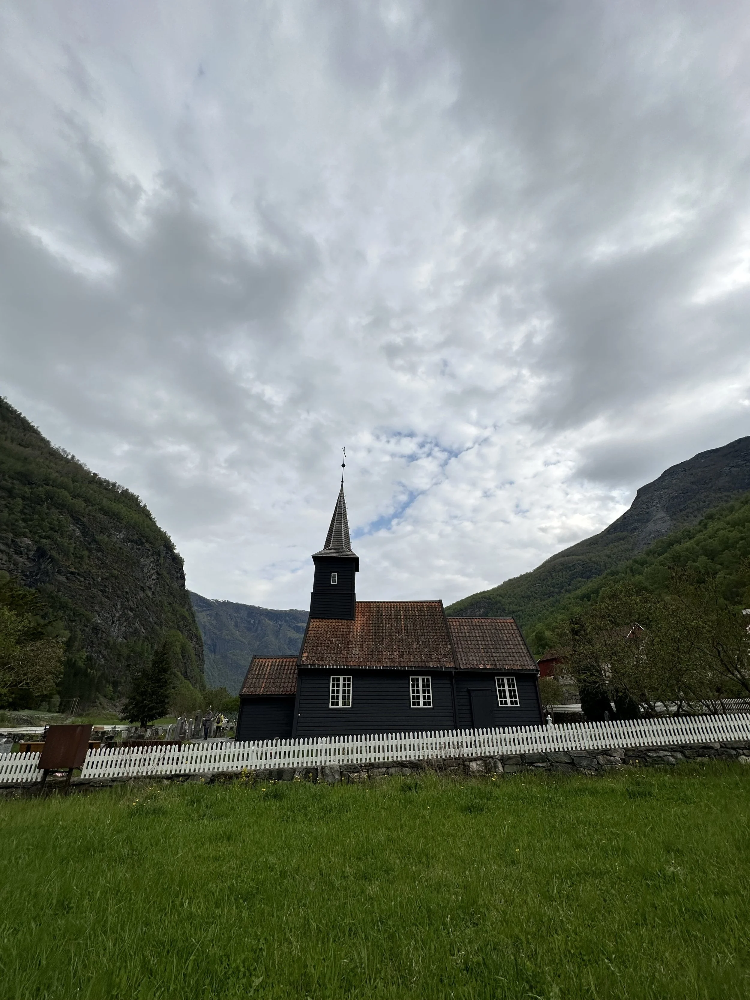 IMG_2984.jpeg