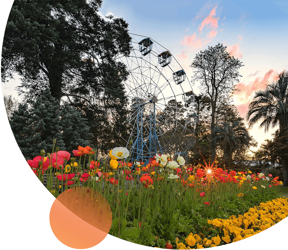 A Ferris wheel in Queens Park Toowoomba, surrounded by blooming flowers and tall trees during sunset.