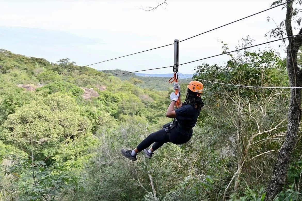 Where the Jungle Meets the Sky