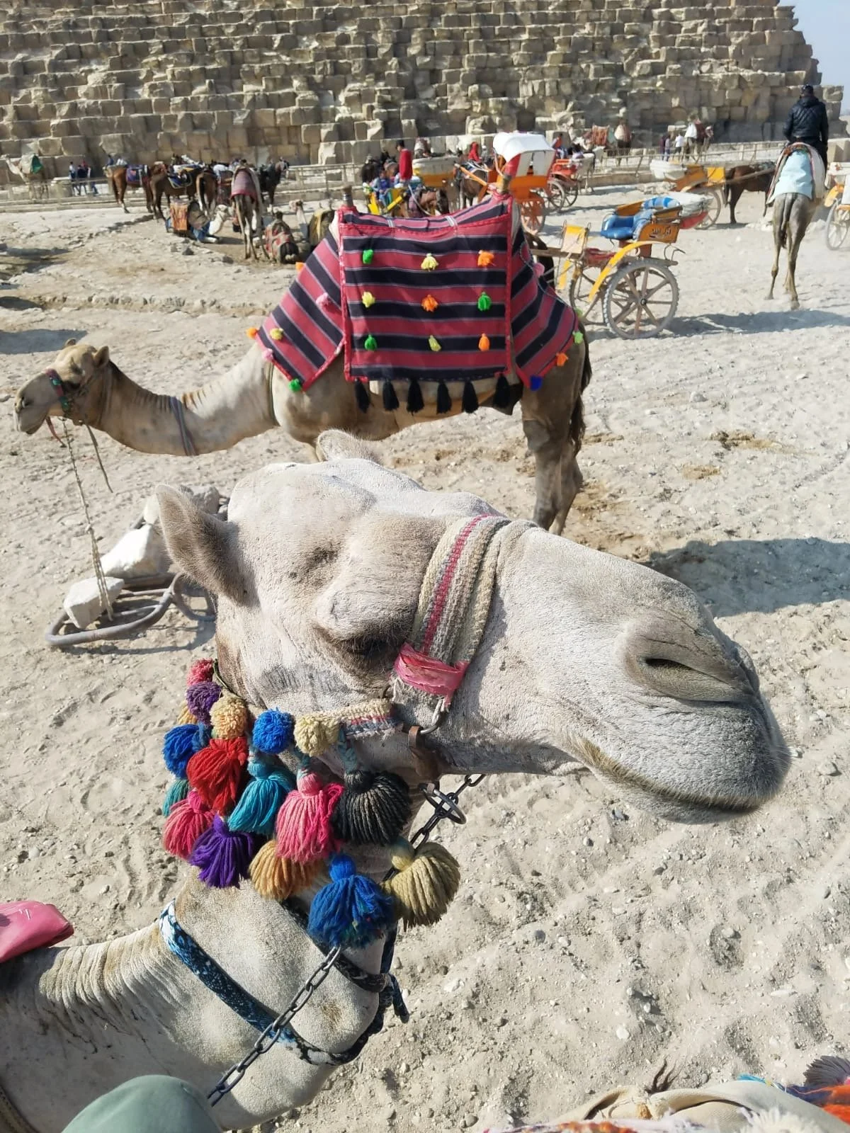 f1e53a9d-0a01-4f1d-81a1-a012b81306b6 (1).JPG