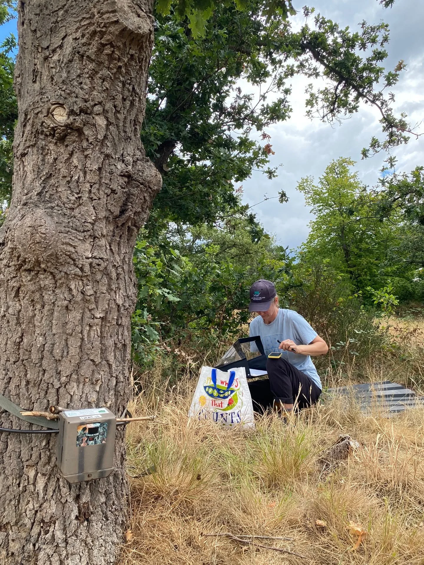 Last week we ventured to Barnes to put out National Hedgehog Monitoring Programme cameras with @barnescommon!

Great to see all the different habitats and wildlife across the Common 💚🦔

The National Hedgehog Monitoring Programme #NHMP is run by @pt