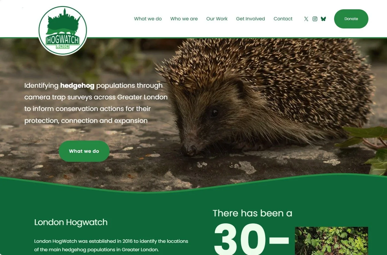 We're extremely excited to announce the launch of our new website!

It's your go-to place for keeping up to date with the latest London HogWatch projects, find the link in our bio!

Huge thanks to @thehedgehogsociety for funding it's creation &amp; m