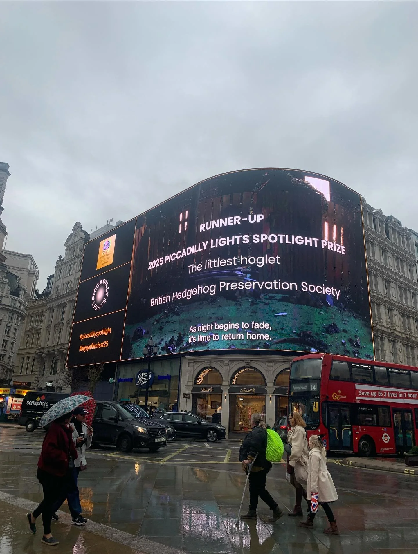 It was fantastic to see our core funders @thehedgehogsociety&rsquo;s beautiful animation, The Littlest Hoglet, lighting up piccadilly today! Made with @liquonaco.

Their film shares such an important message, highlighting what we can do to help prote
