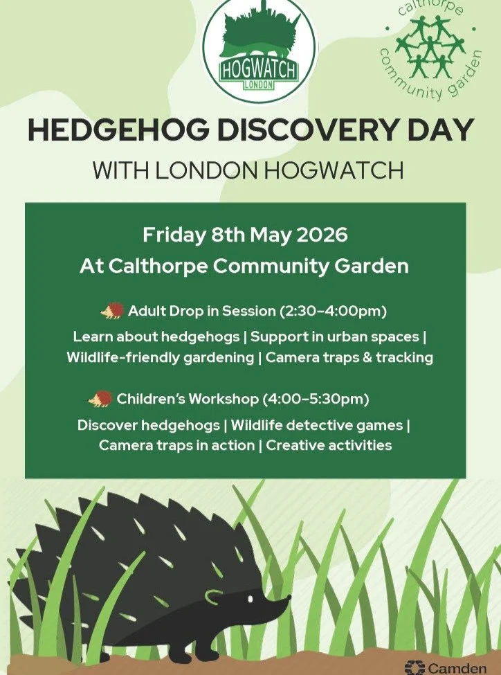 Come and join us on Friday 8th May for a Hedgehog Discovery Day in celebration of Hedgehog Awareness Week with @calthorpecommunitygarden! 🦔

Enjoy a fun-filled afternoon of activities , learning all about hedgehogs and what we can do to support them