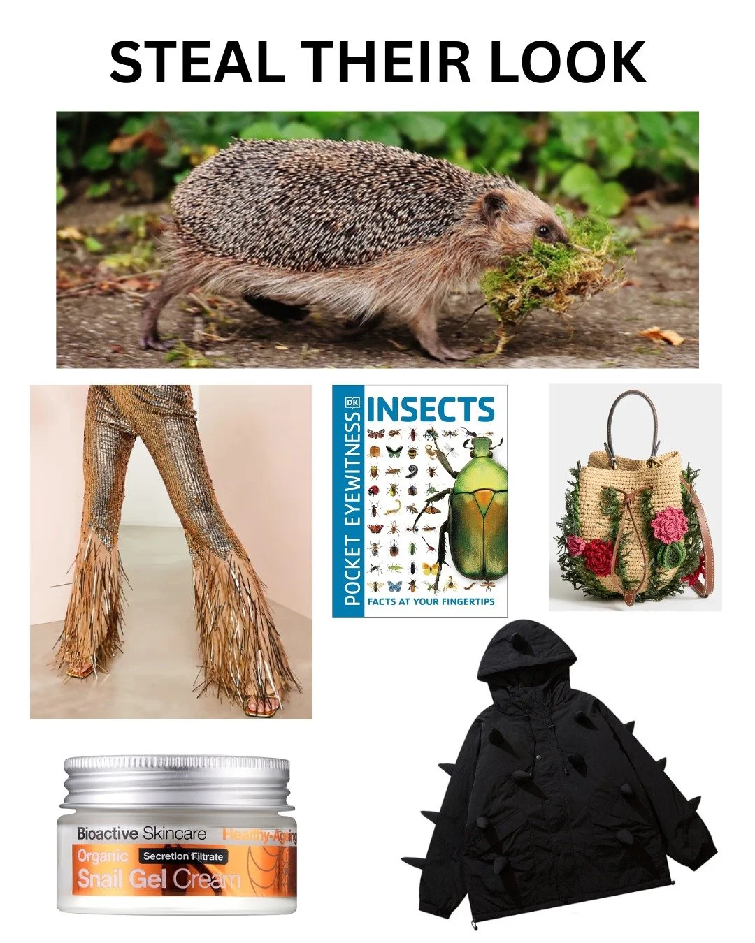 The new park-wear look for 2026, from the new designer Natural Selection 🌿

A look that's only taken 15 million years to evolve 🦔✨

#hedgehog #animalmeme #environmentalmemes #conservation