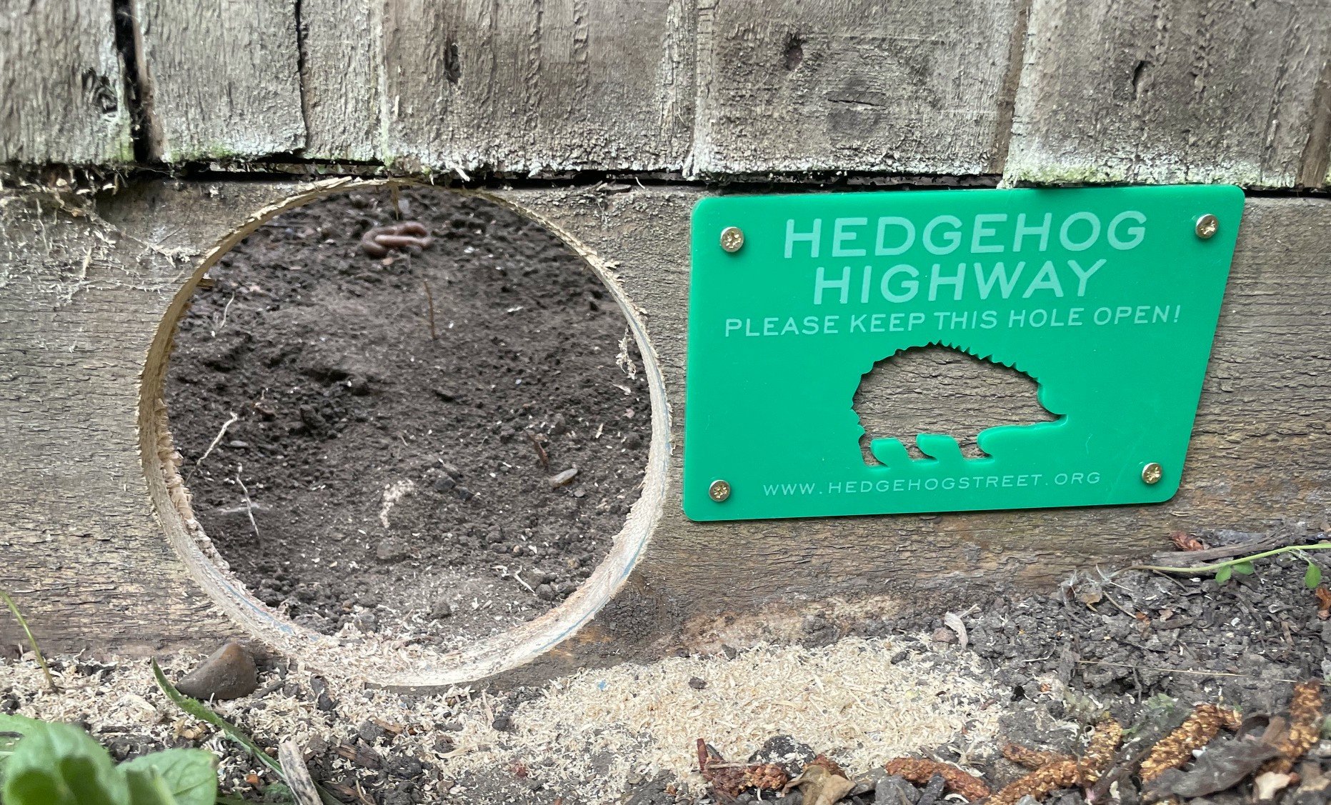 Furzedown Hedgehog Highways