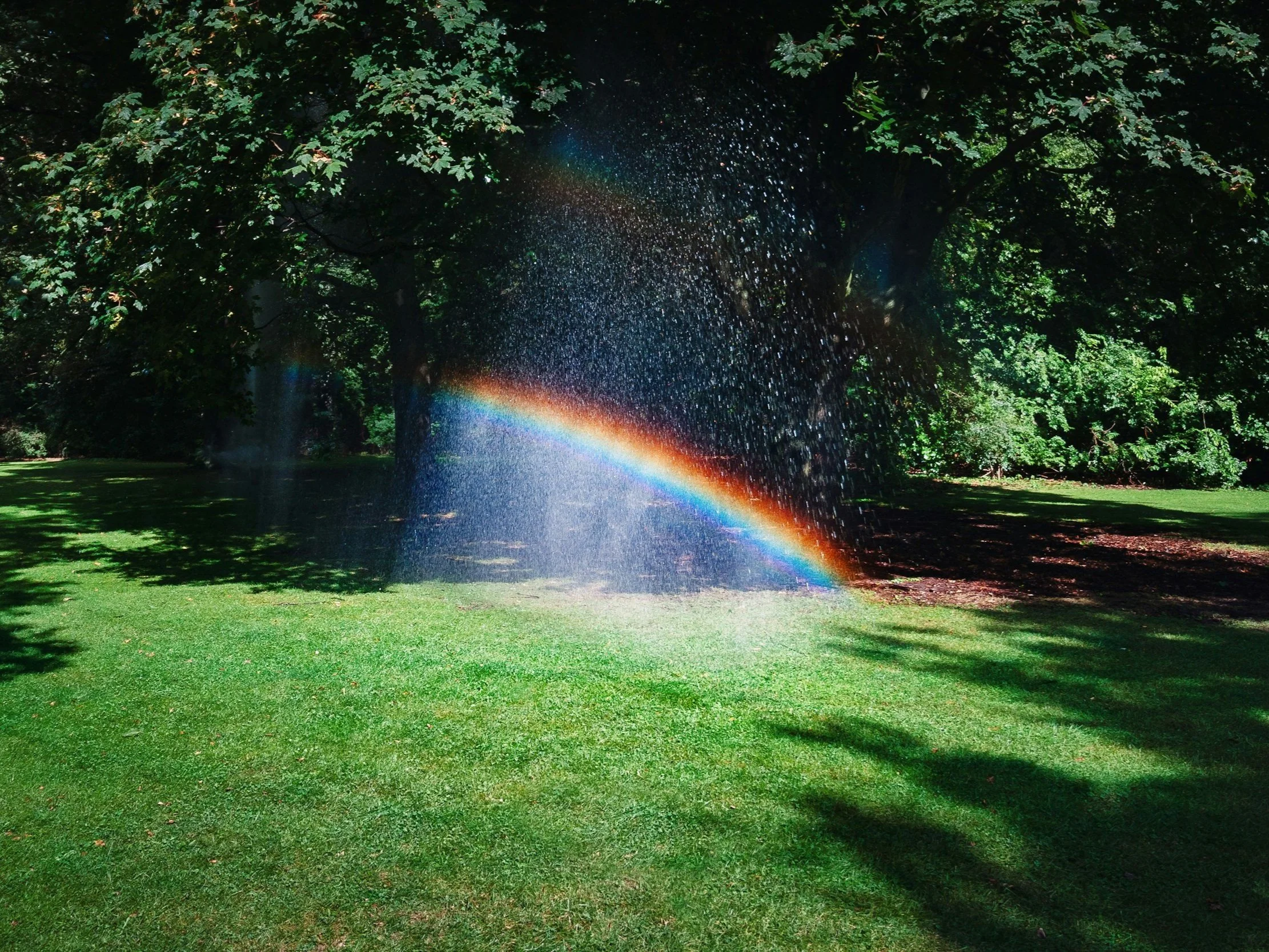 A garden with a water fountain creating a rainbow in sunlight, surrounded by green trees and grass.