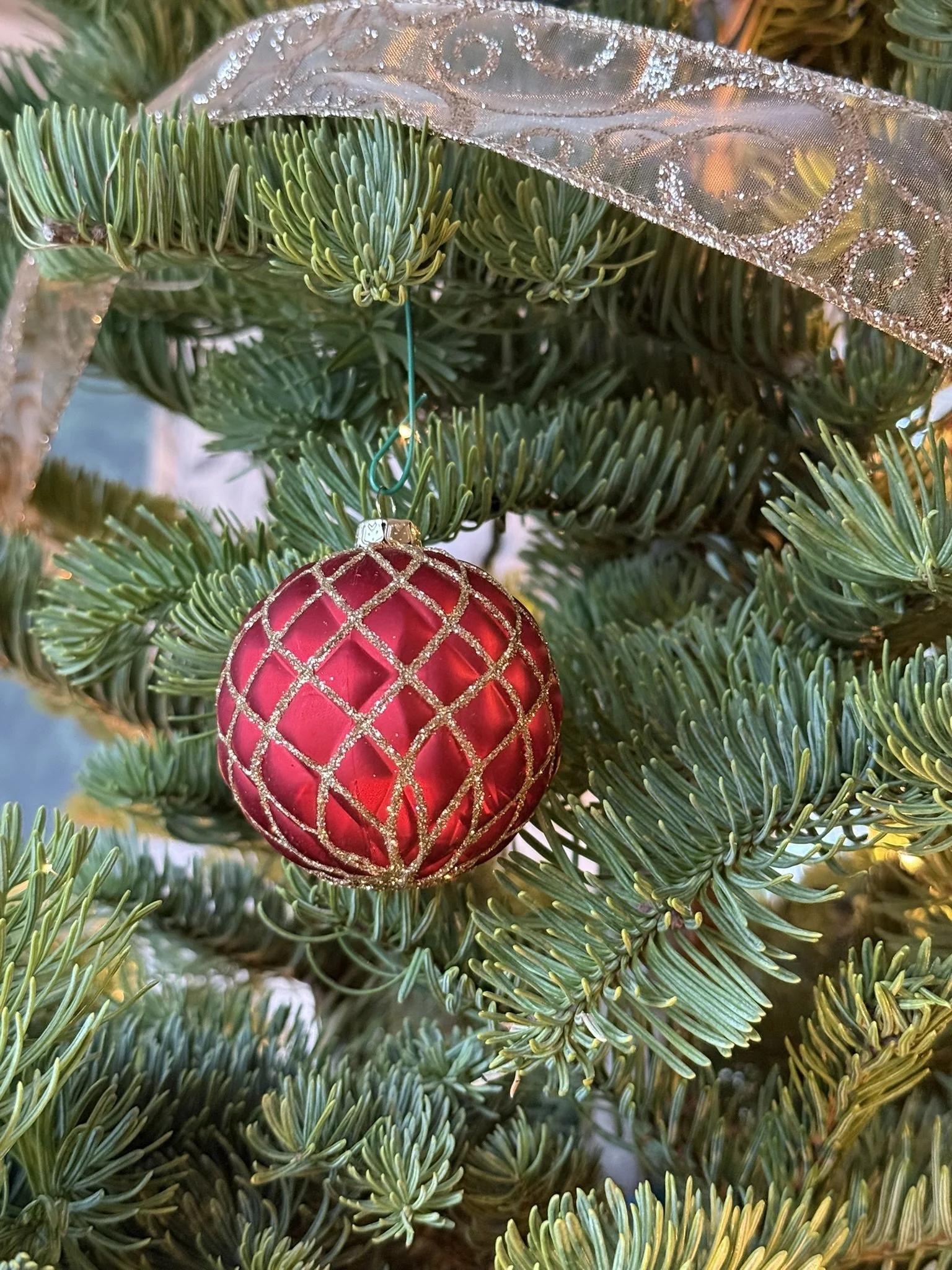 Christmas ornament red on tree.JPEG