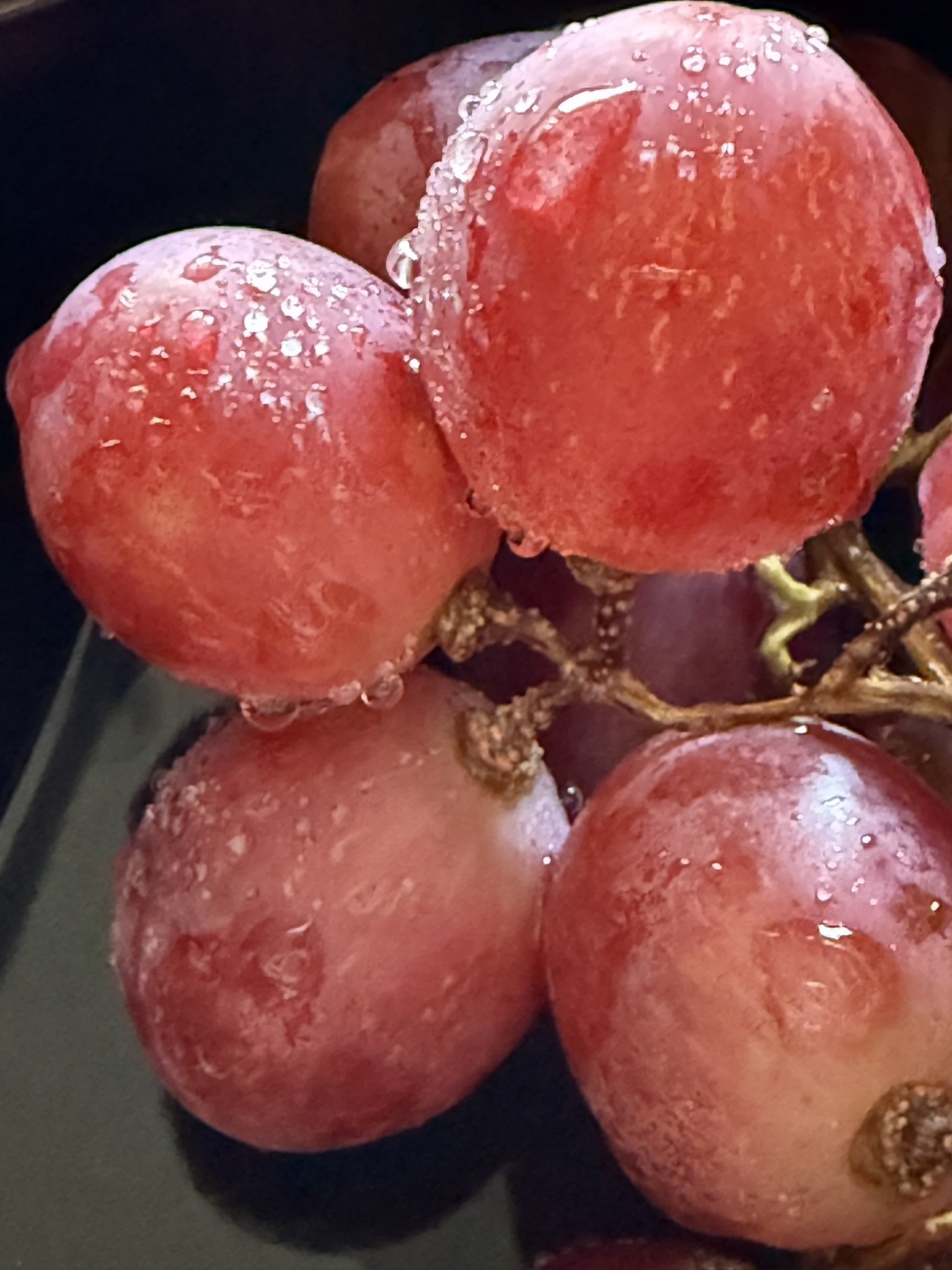 Grapes with water droplets.JPEG