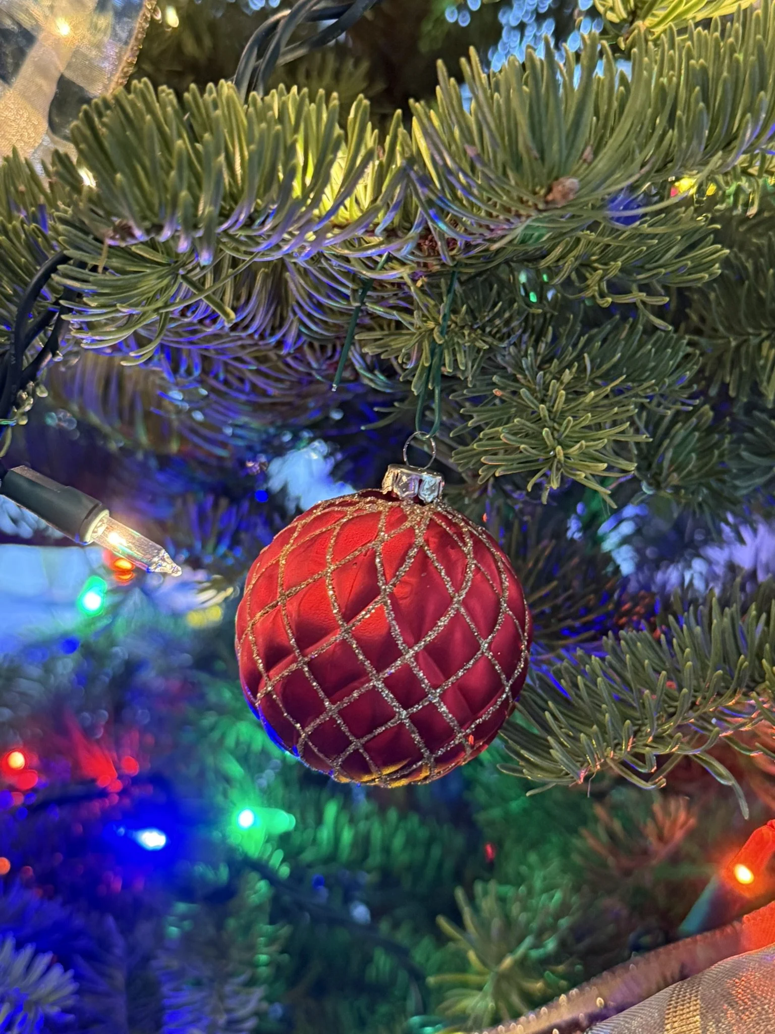 Christmas ornament on tree.JPEG
