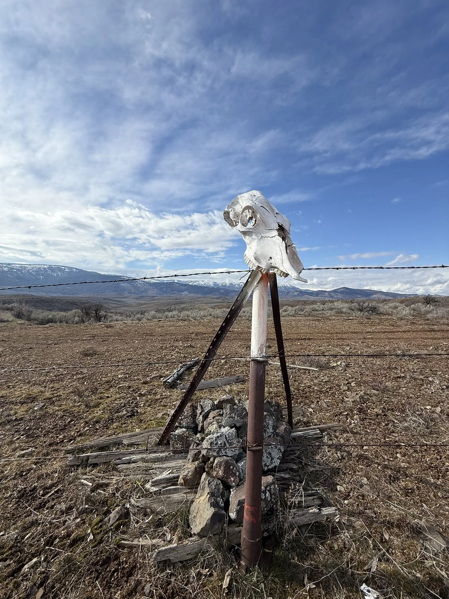 Skull from distance.JPEG