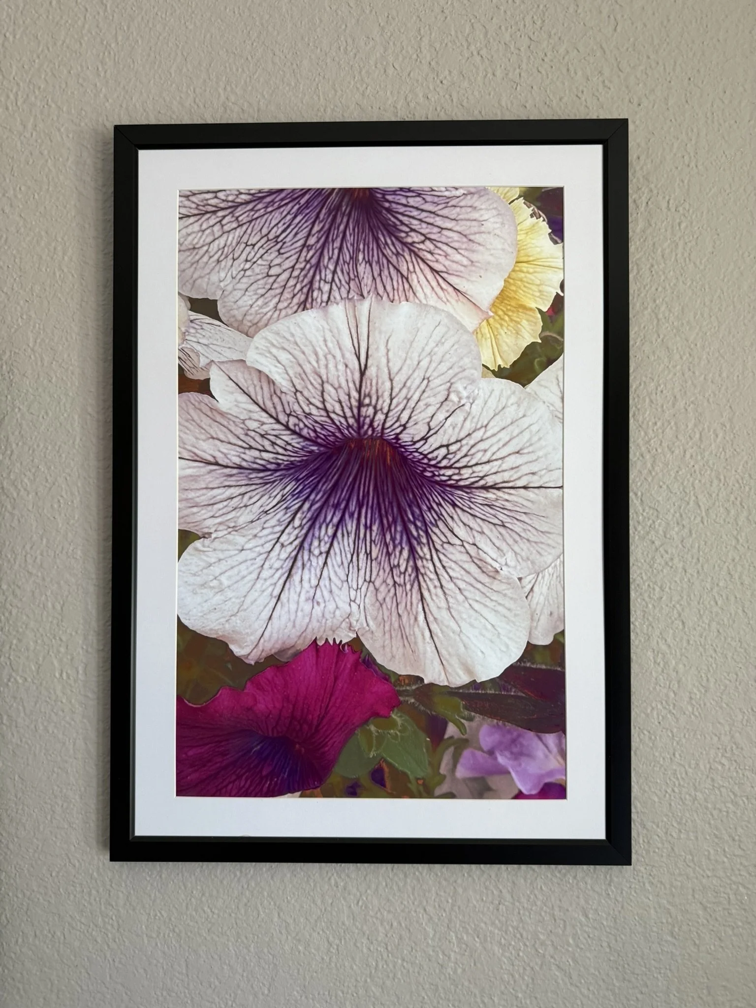 White with Purple Pansy.JPEG