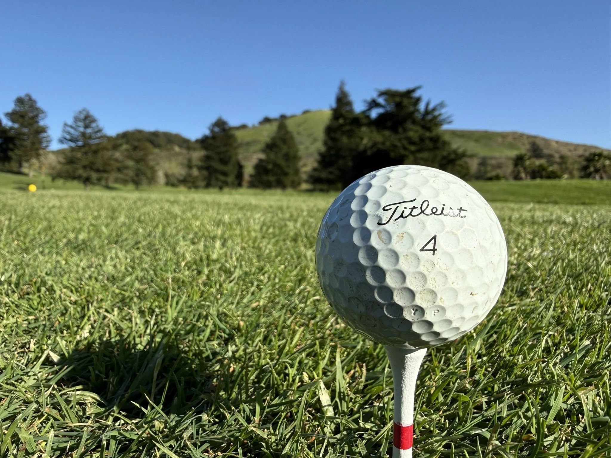 Golf Titleist 4.JPEG