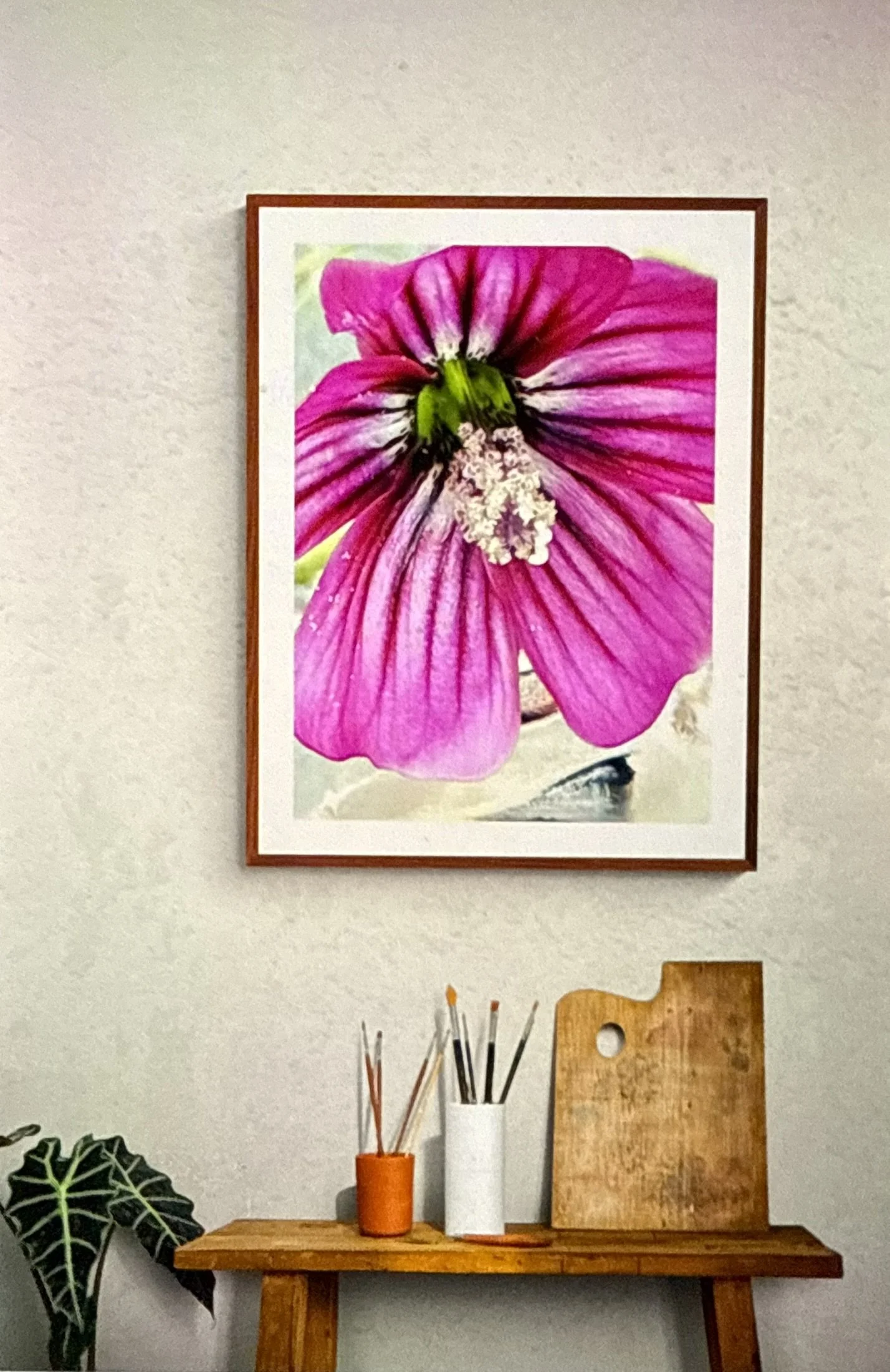 Magenta framed in red.JPEG