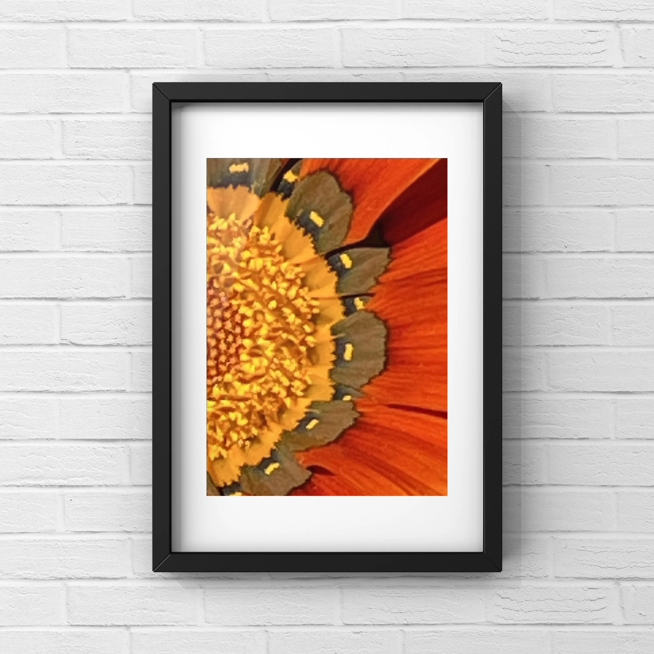 Orange Sunflower.JPG