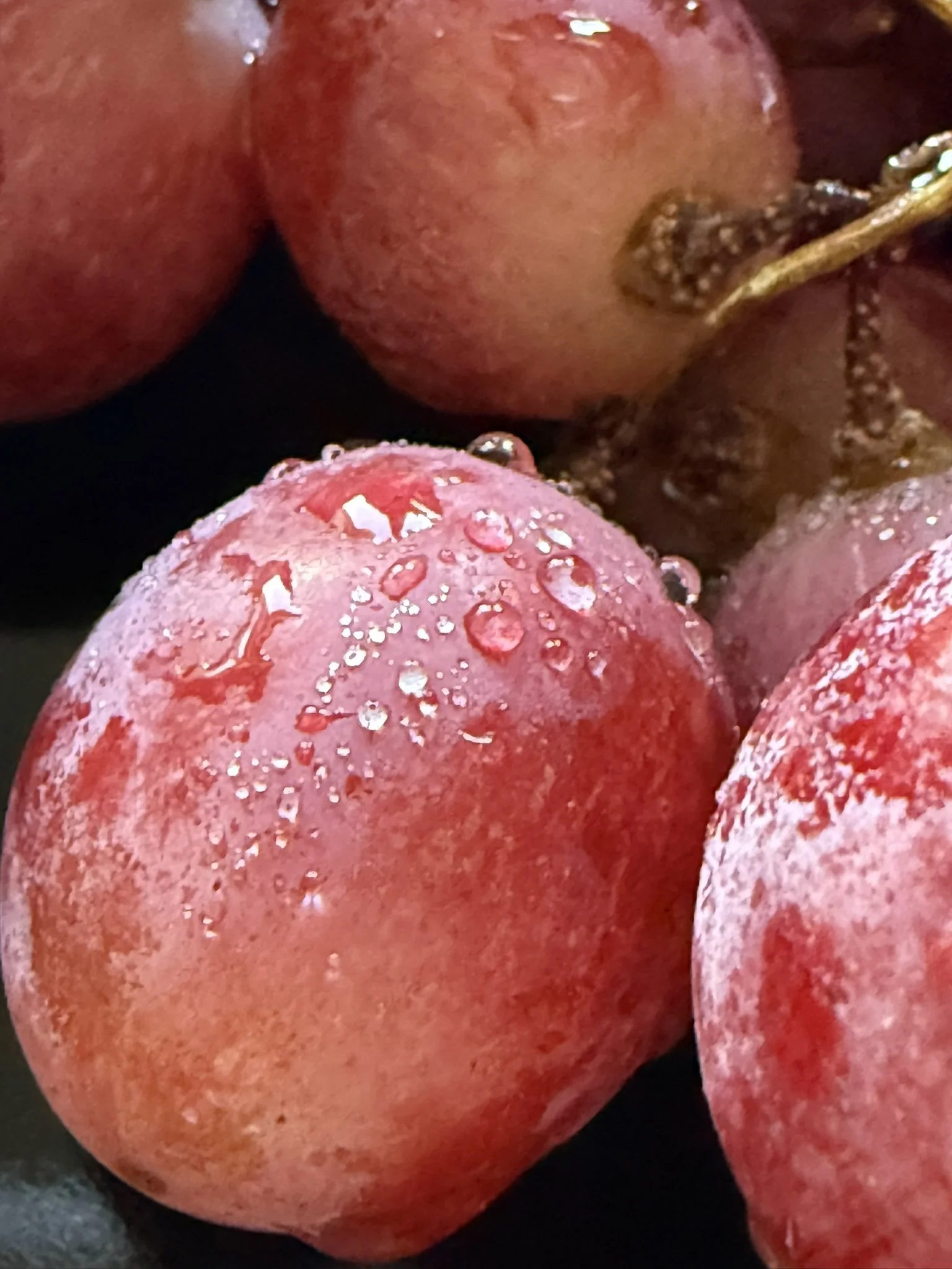 Grapes with condensation.JPEG