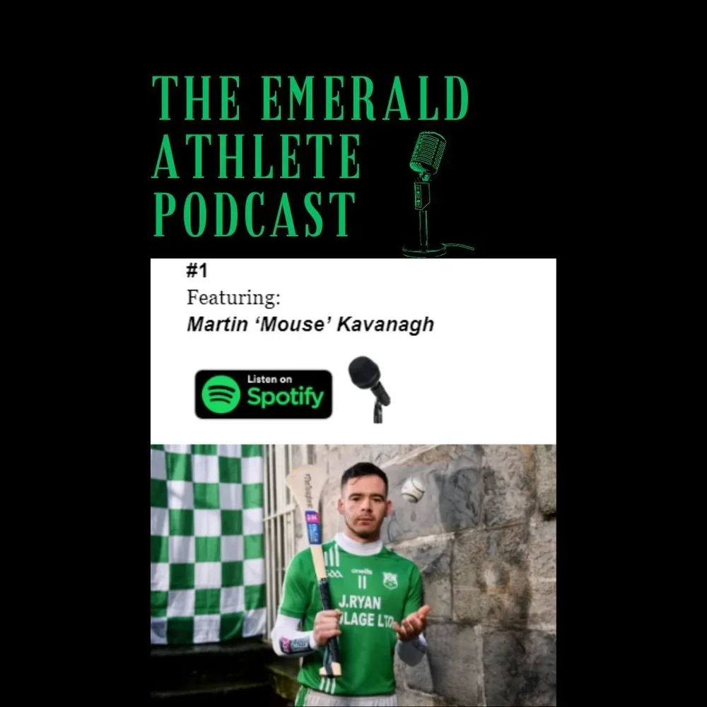 Episode 1 'Martin Mouse Kavanagh'