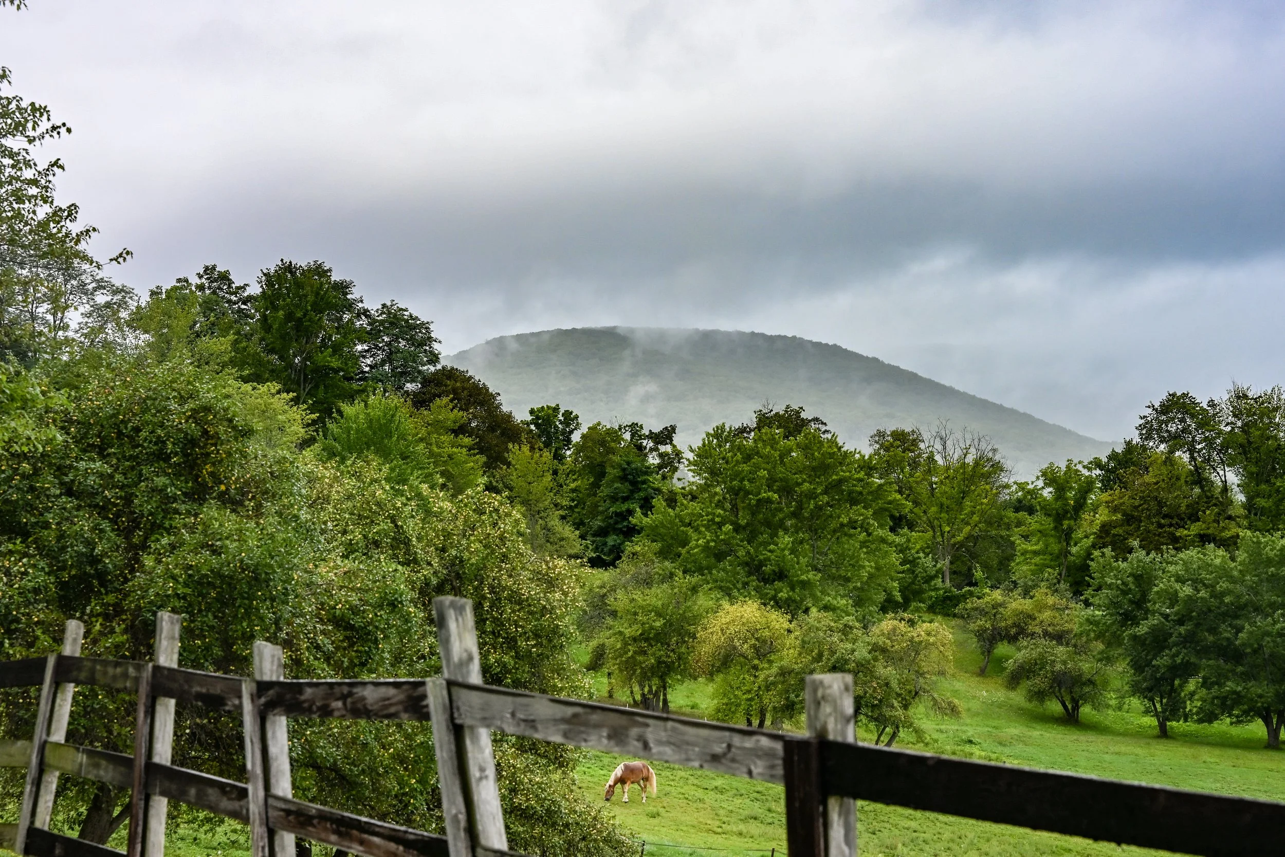 RJK_GAI_082226-27.jpg