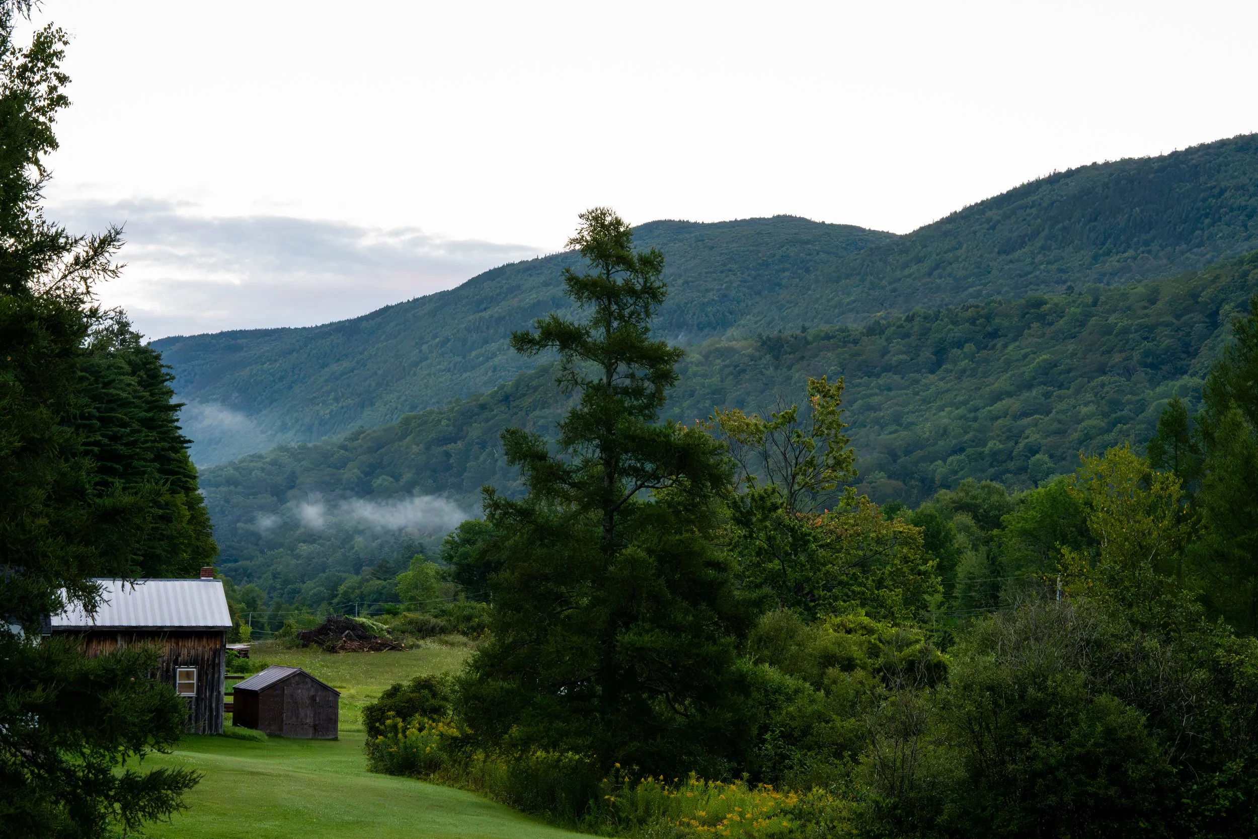 RJK_VT_082526-3.jpg