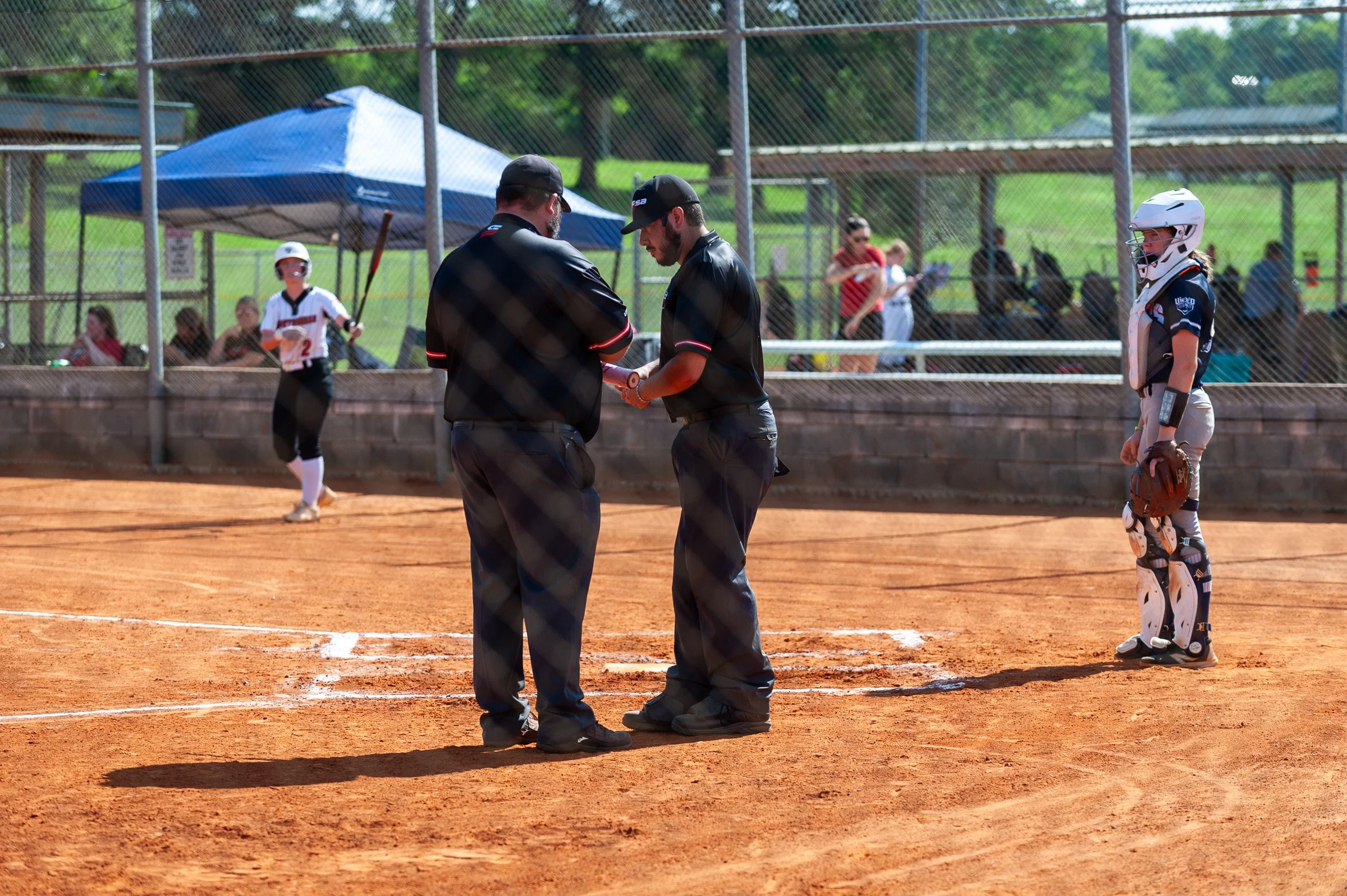 TN Stars May312026-15.jpg