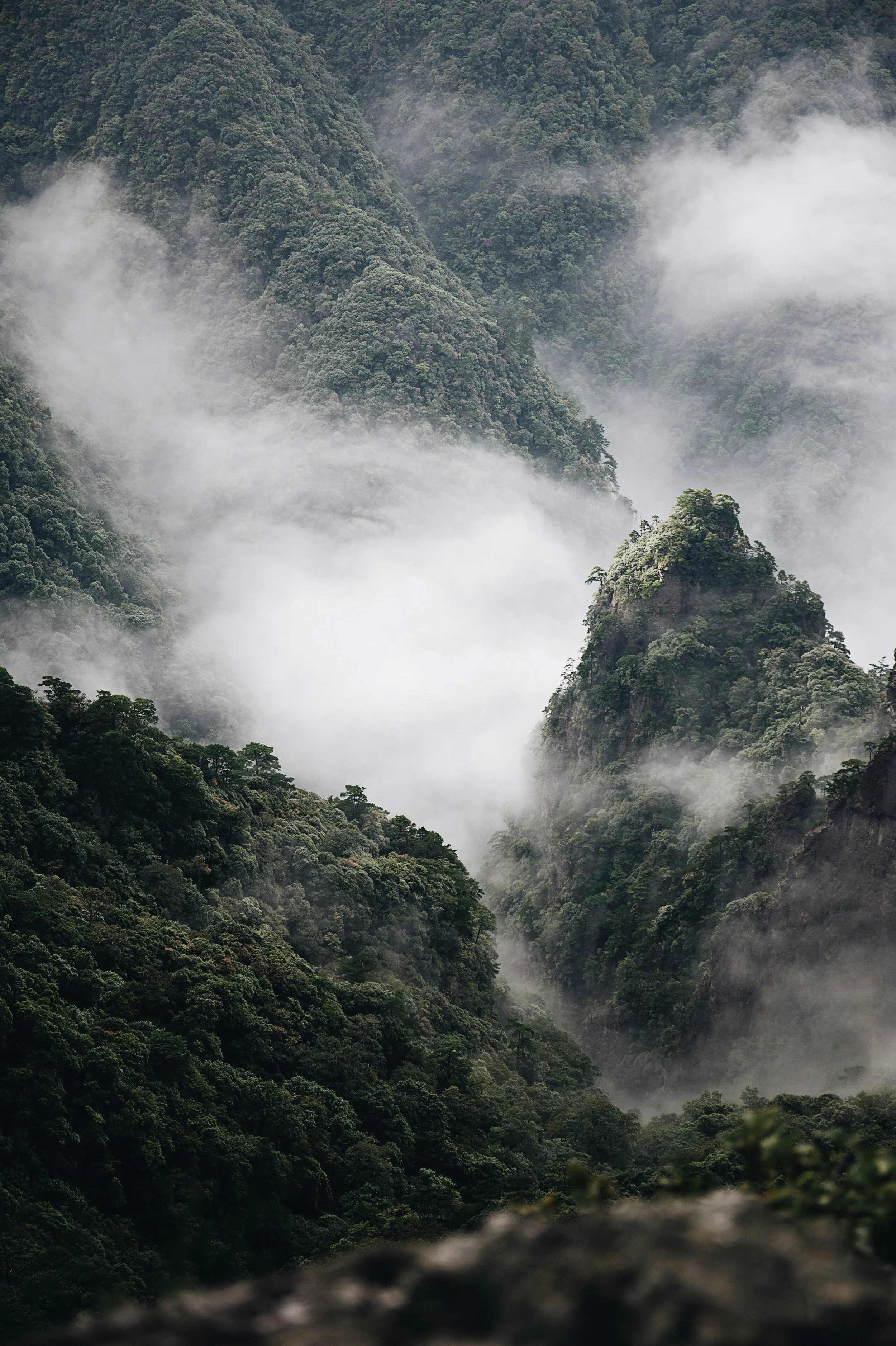 Berglandschaft mit bewachsenen Gipfeln, umhüllt von Nebel.