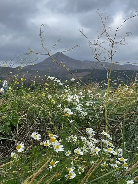 An Arran Collection.