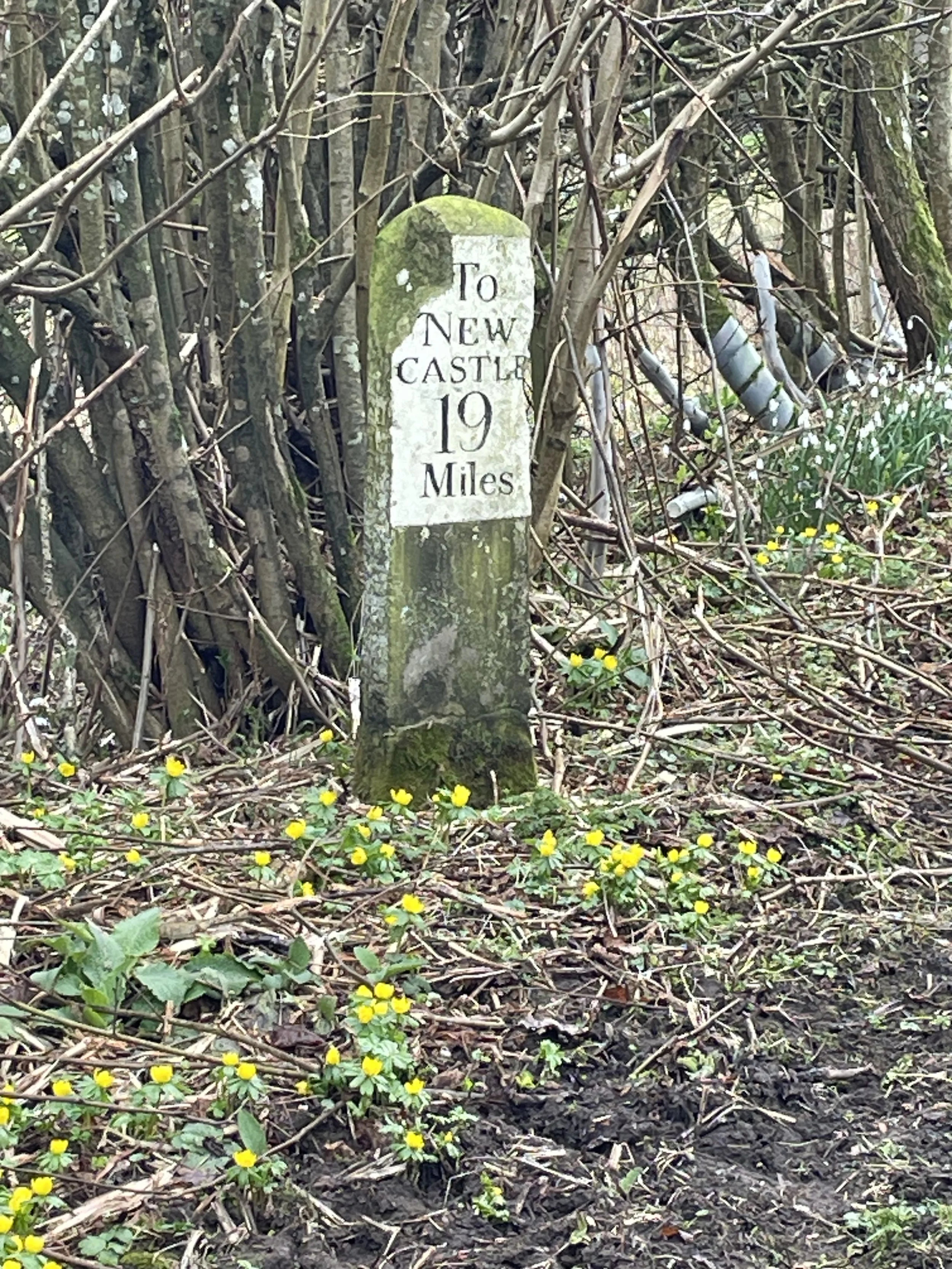 Wallington Hall National Trust