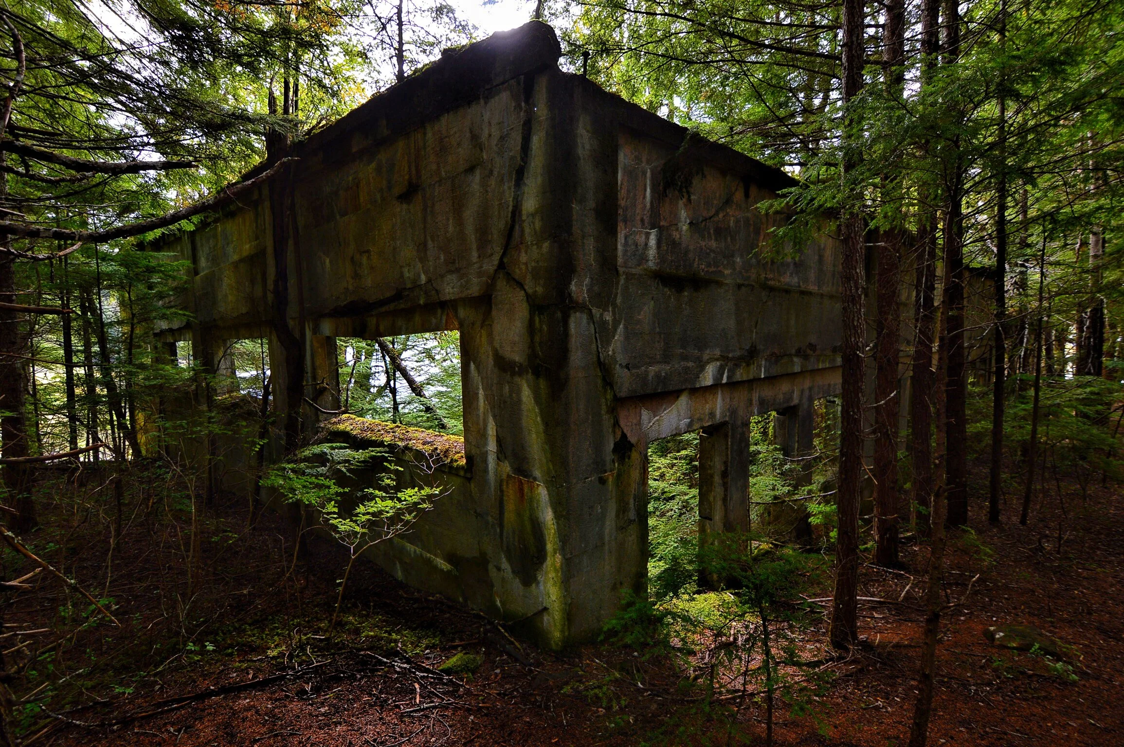 Reclaimed by Mother Nature: The End of Anyox