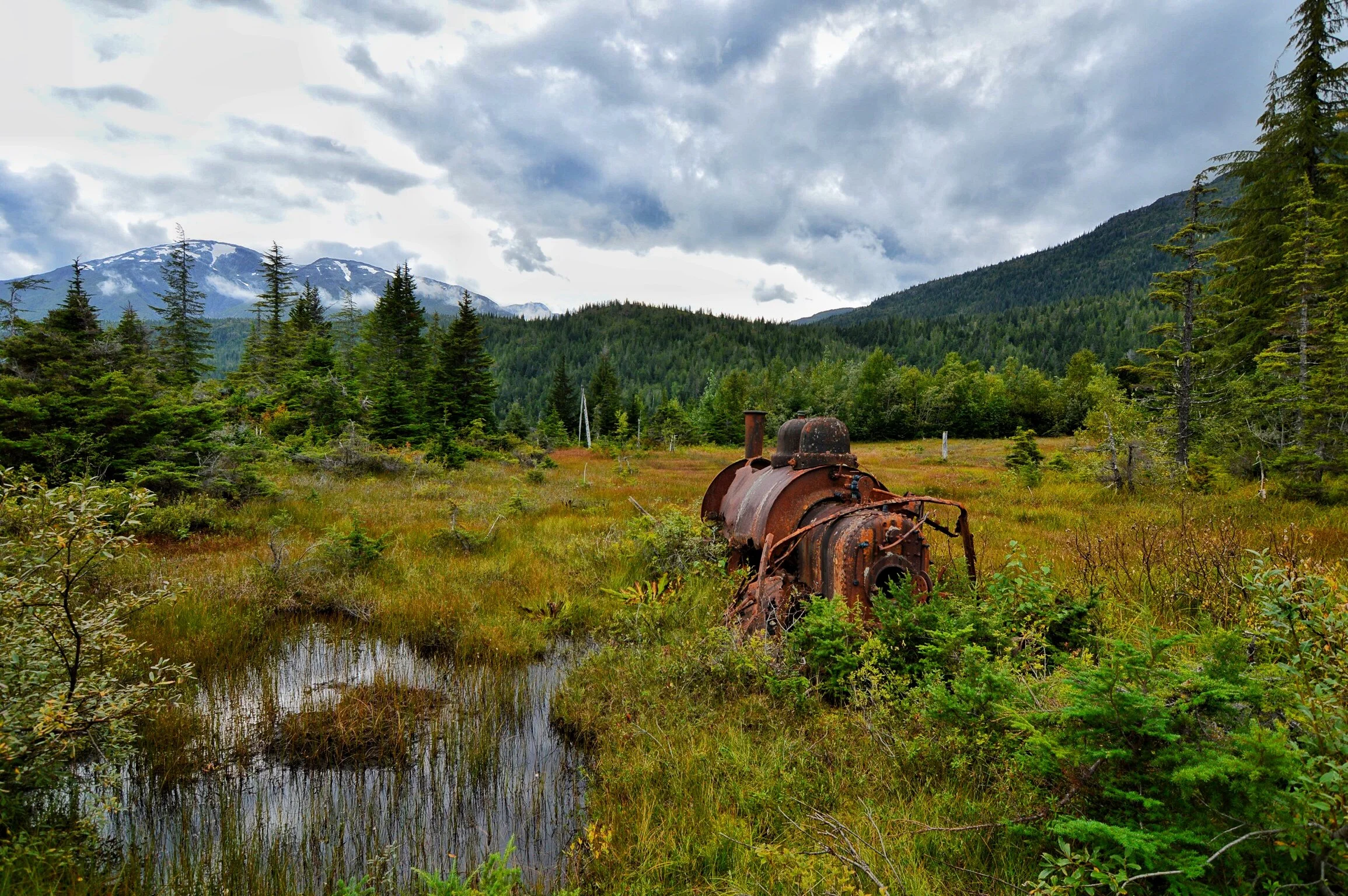 Iron Work Horses: The Trains