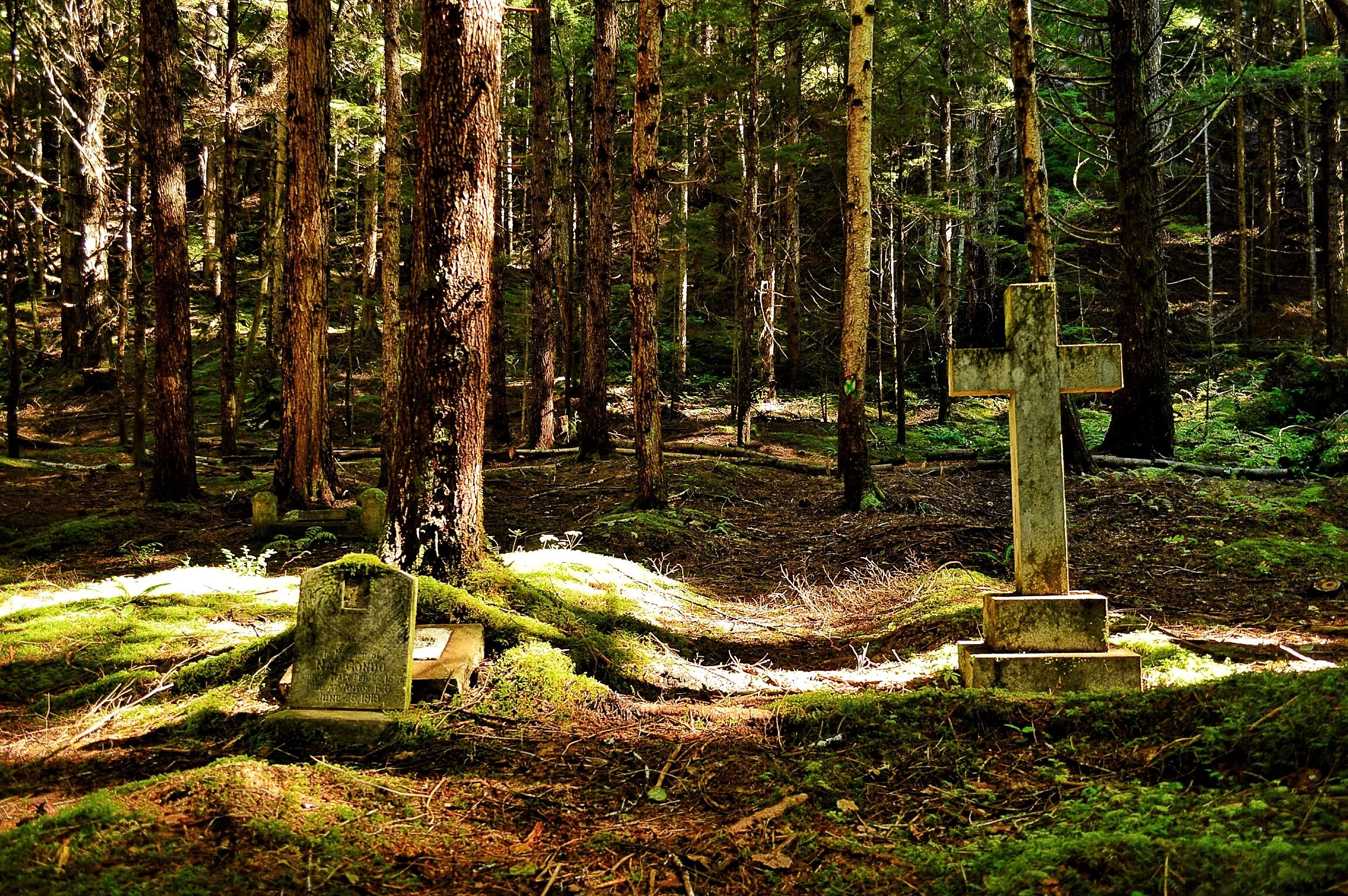 Everything Comes to an End