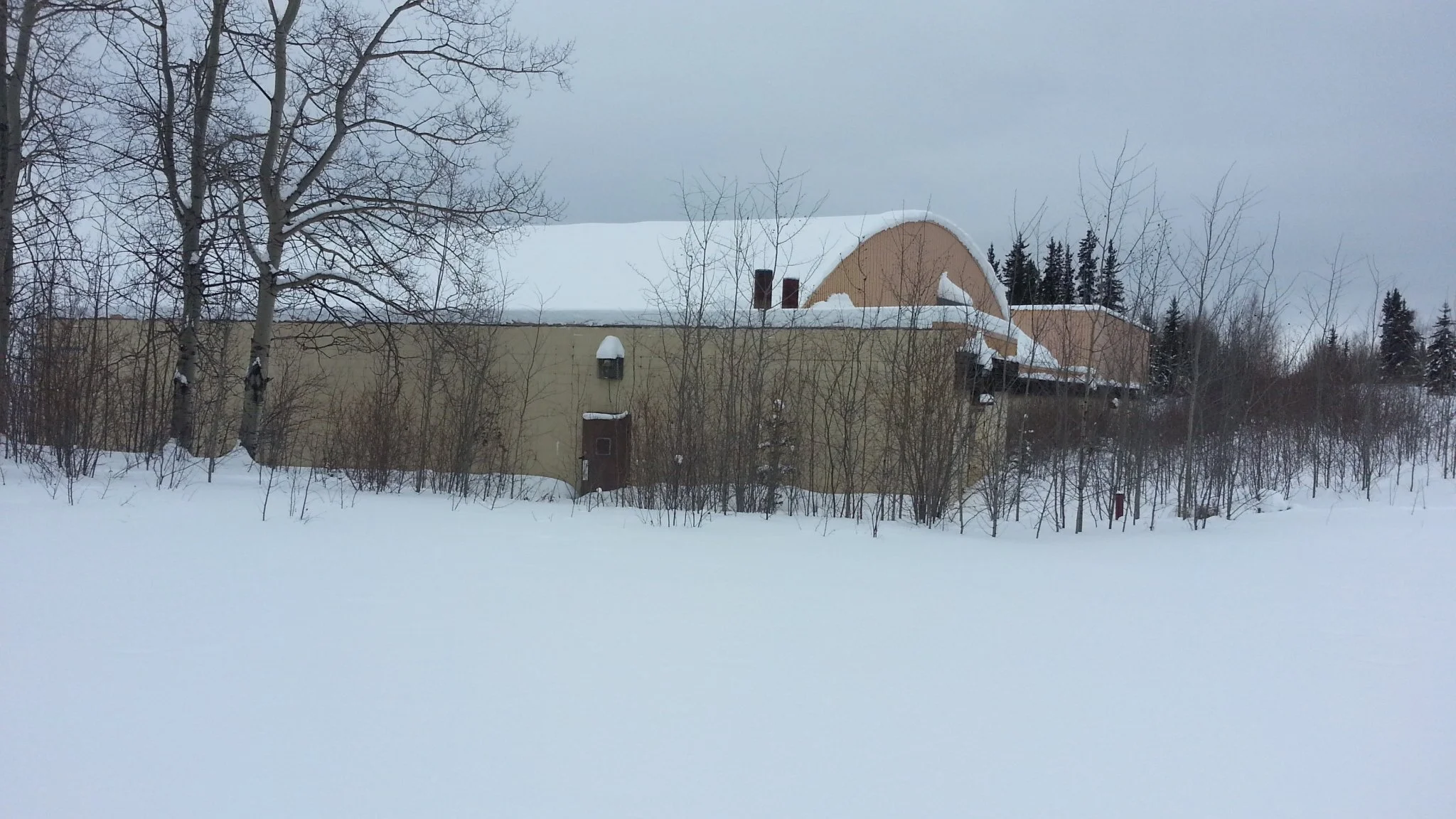 The Arena: Hockey, Curling and more in the North.