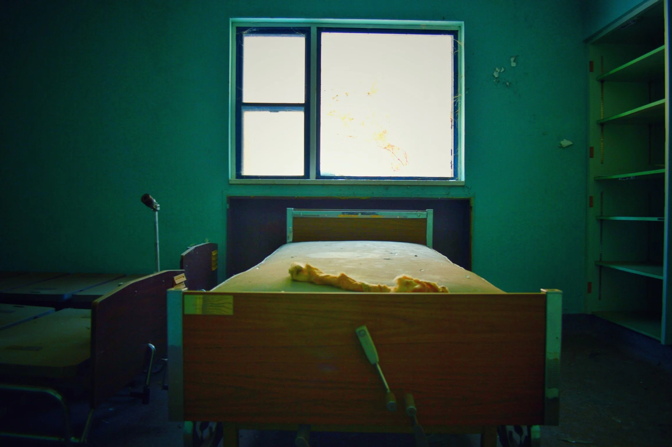 Looking into the Past to Save our Future.