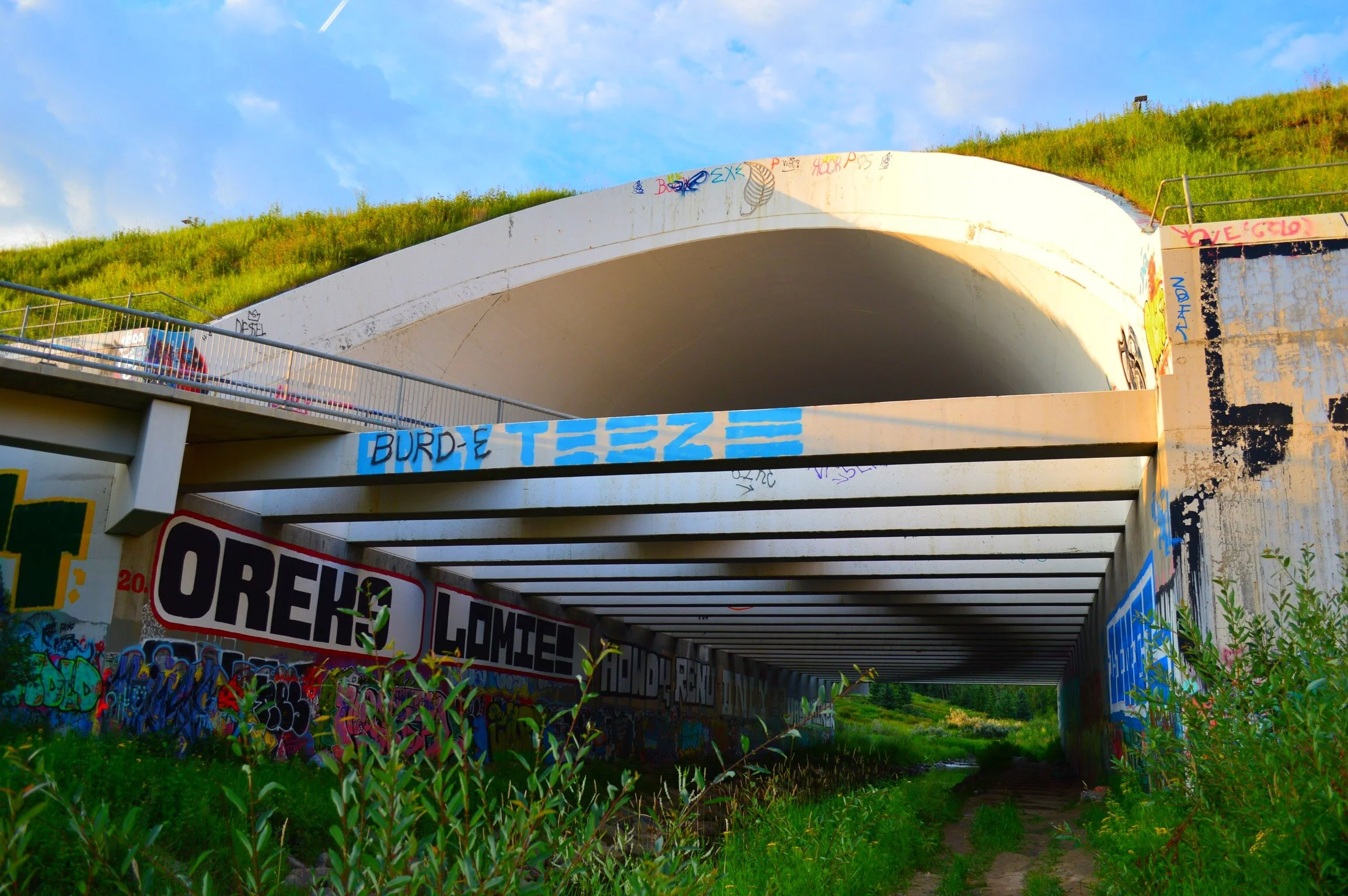 Whitemud Creek Archway: A local urban marvel of modern engineering.