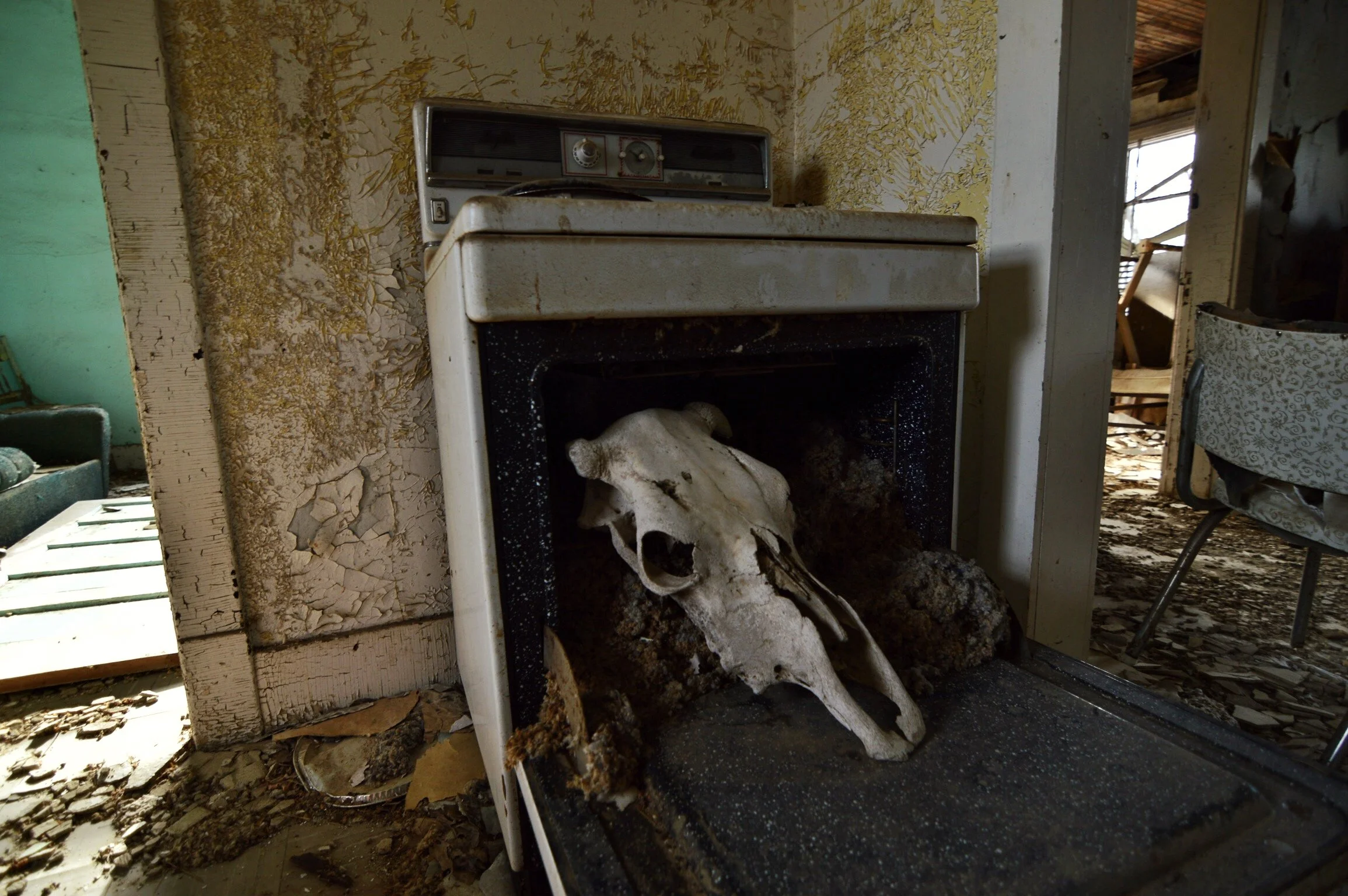 Historical Highway Exploring: Adventuring through Nemiscam