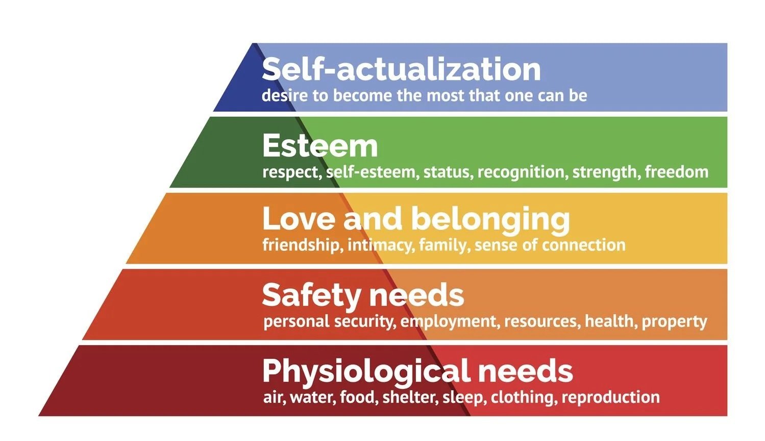 Engineering with Purpose: Insights from Rodney Holbert 