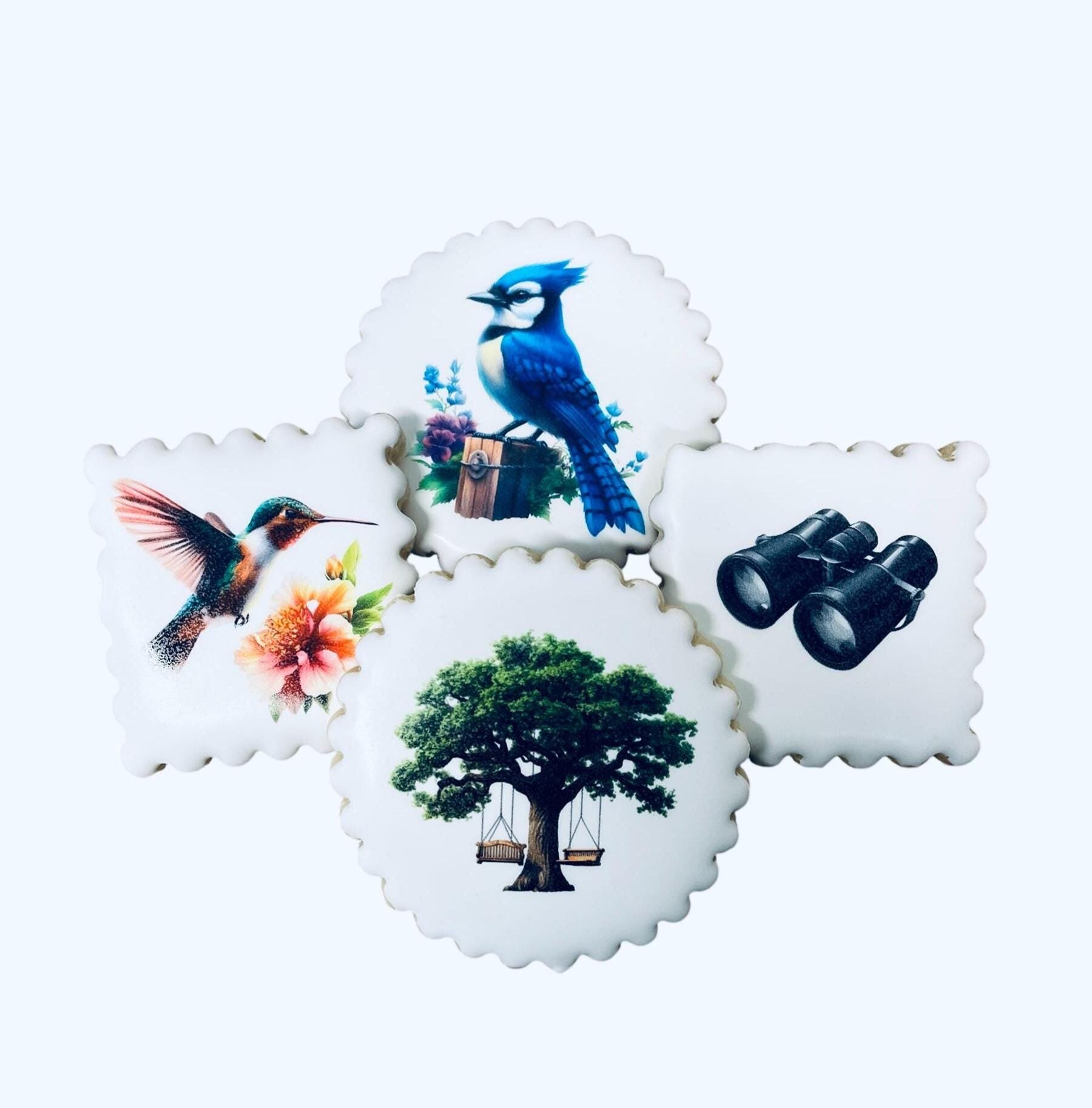 Birdwatcher Cookie Dozen Set, Bird Lover Cookie Set, Ornithology Gift Set, Backyard Birder Gift Set, Bird Cookie Gift, Nature Lover Cookies